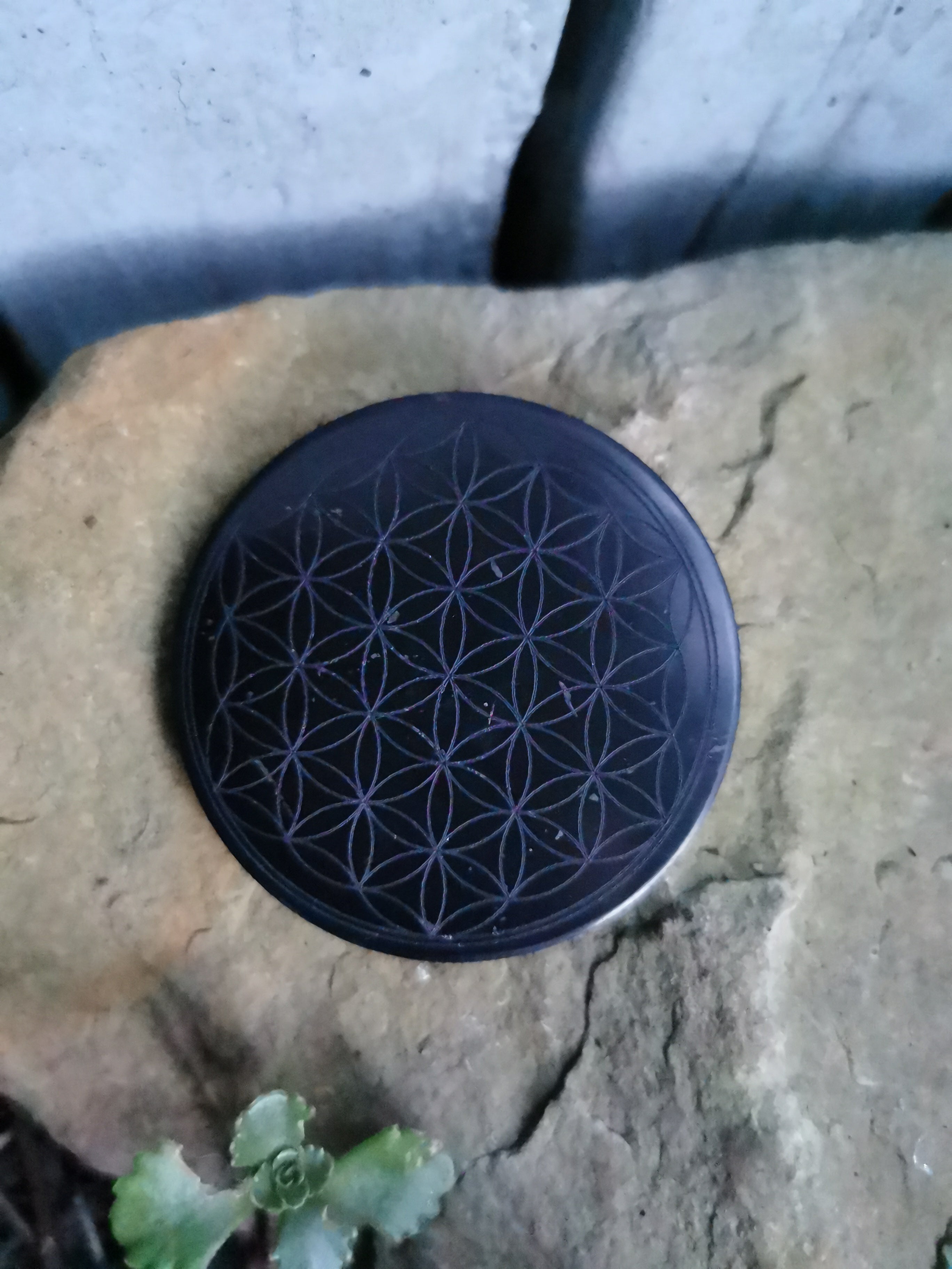 Shungite Flower of Life Engraved Disc
