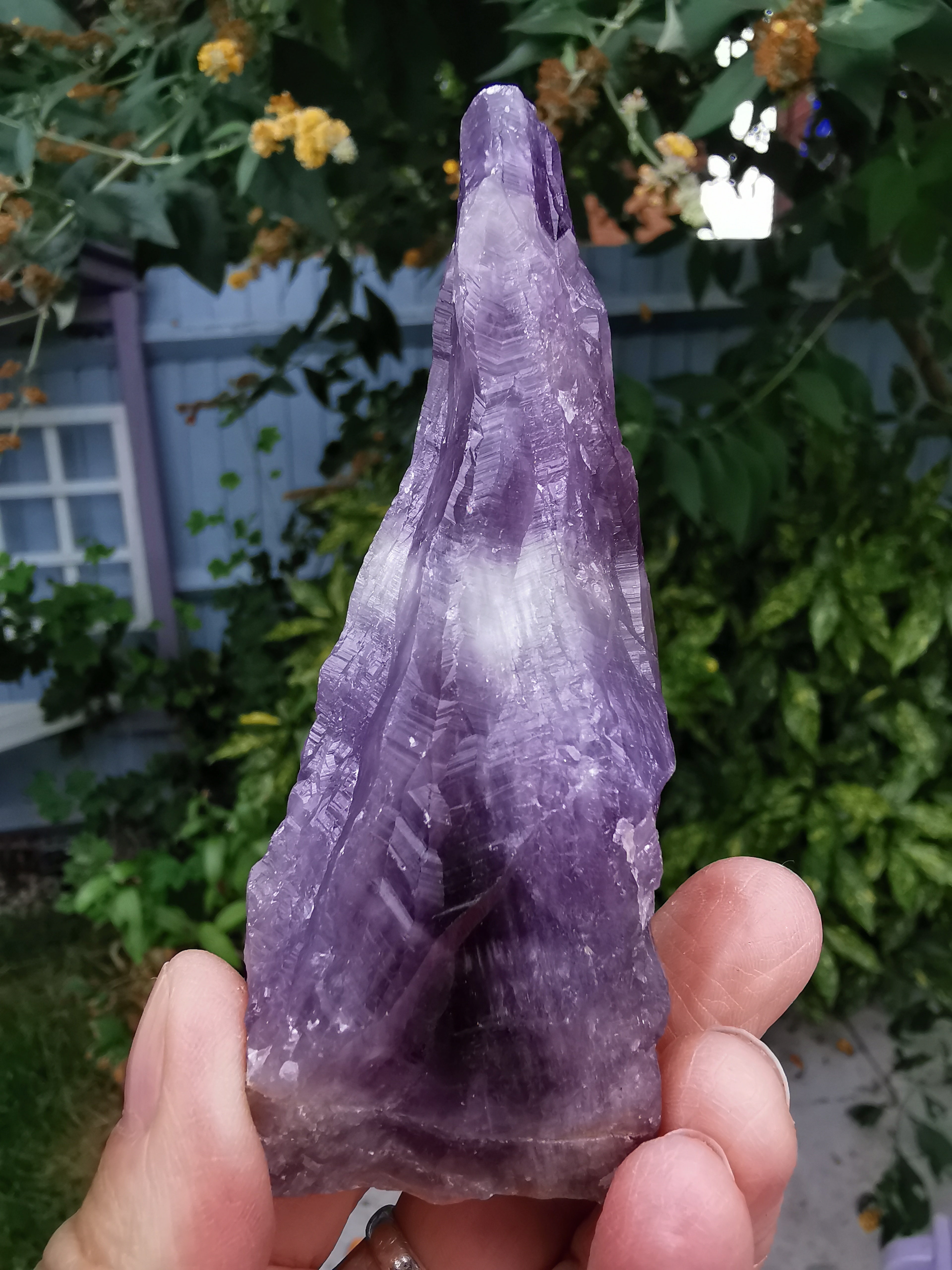 41g Gema! Raro AURALITA 23 Amatista espécimen de cristal Aurora 23 41g Gema! Raro AURALITA 23 Amatista espécimen de cristal Aurora 23