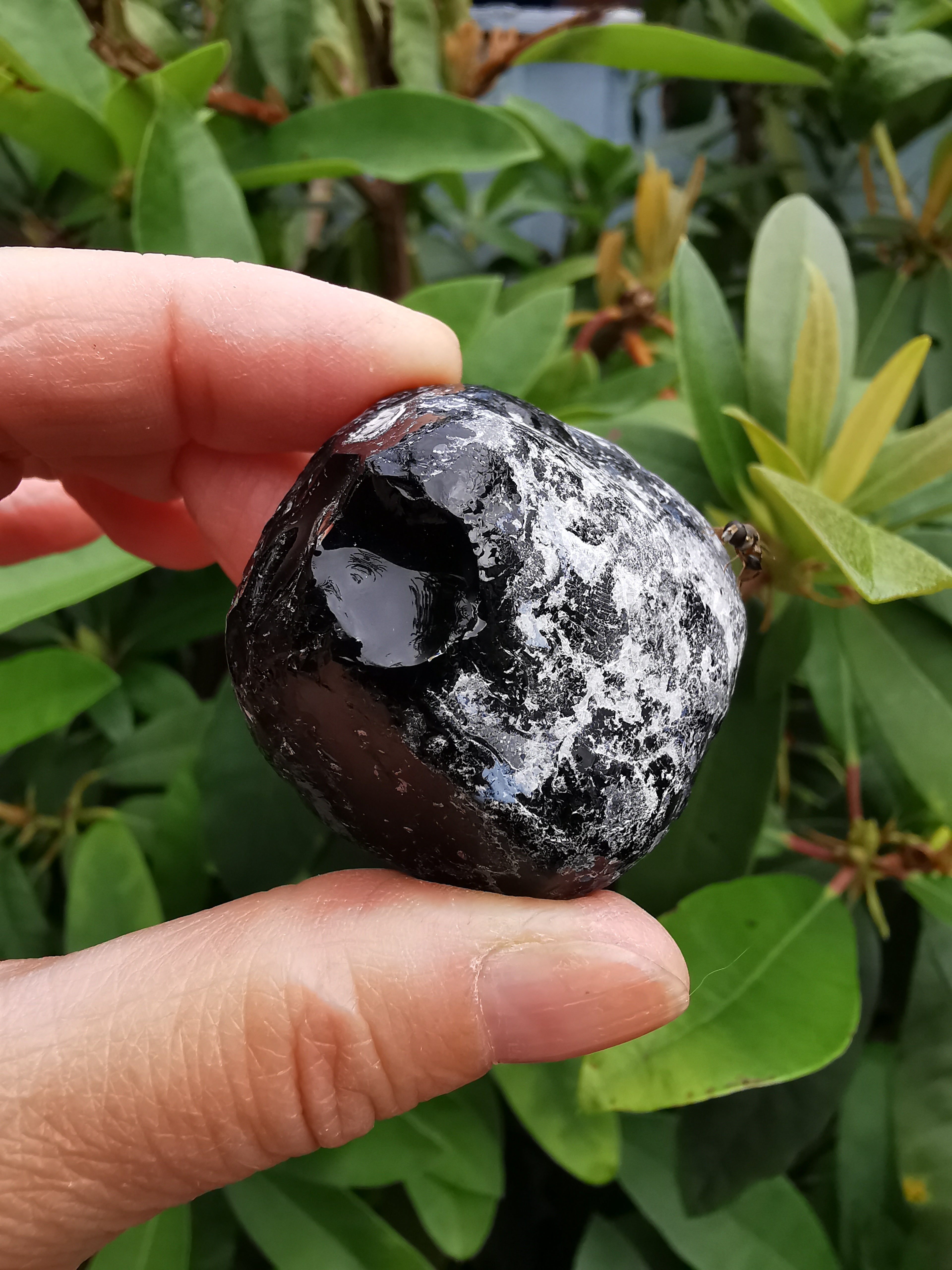 Natural Apache Tears