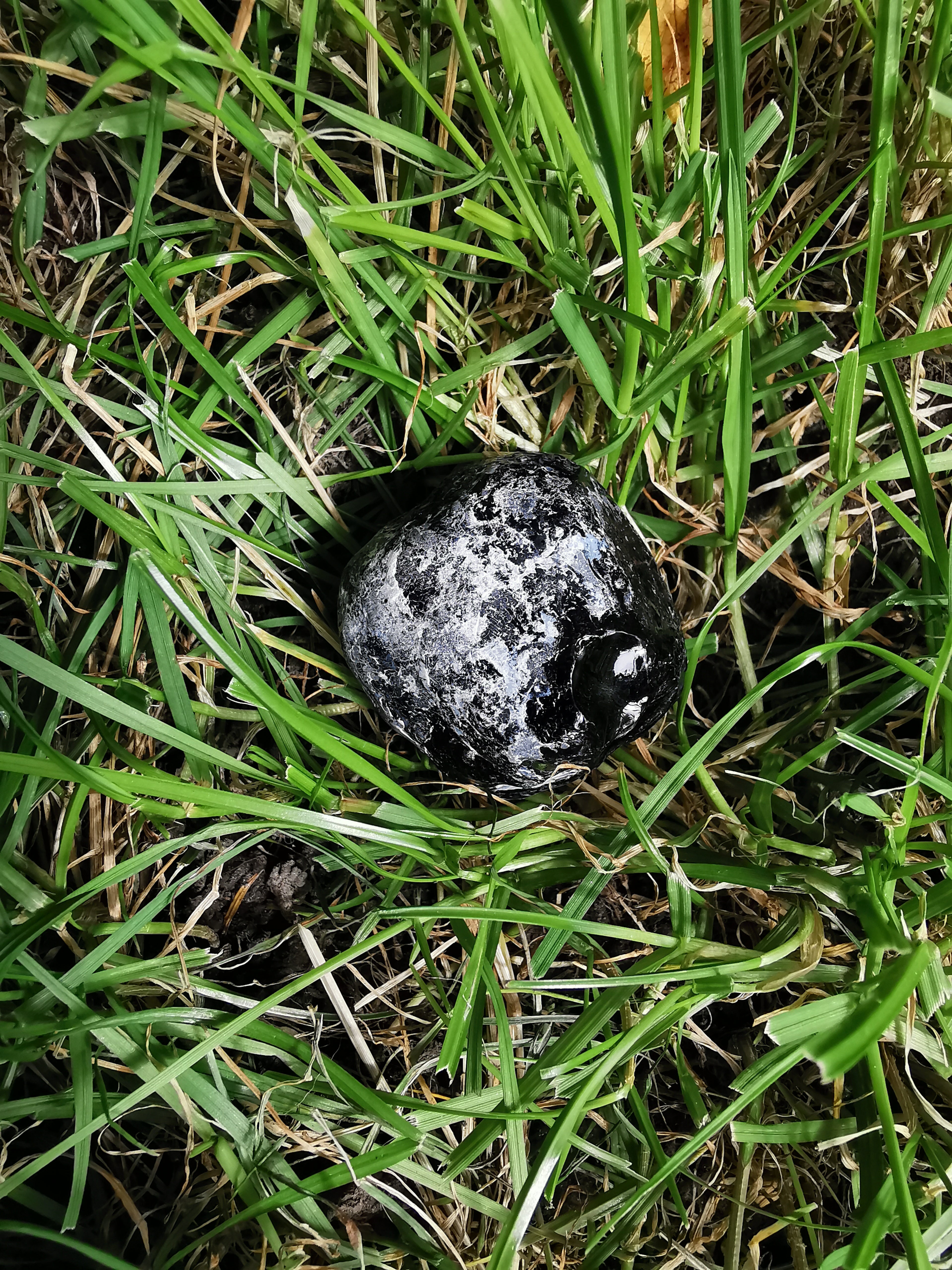 Natural Apache Tears