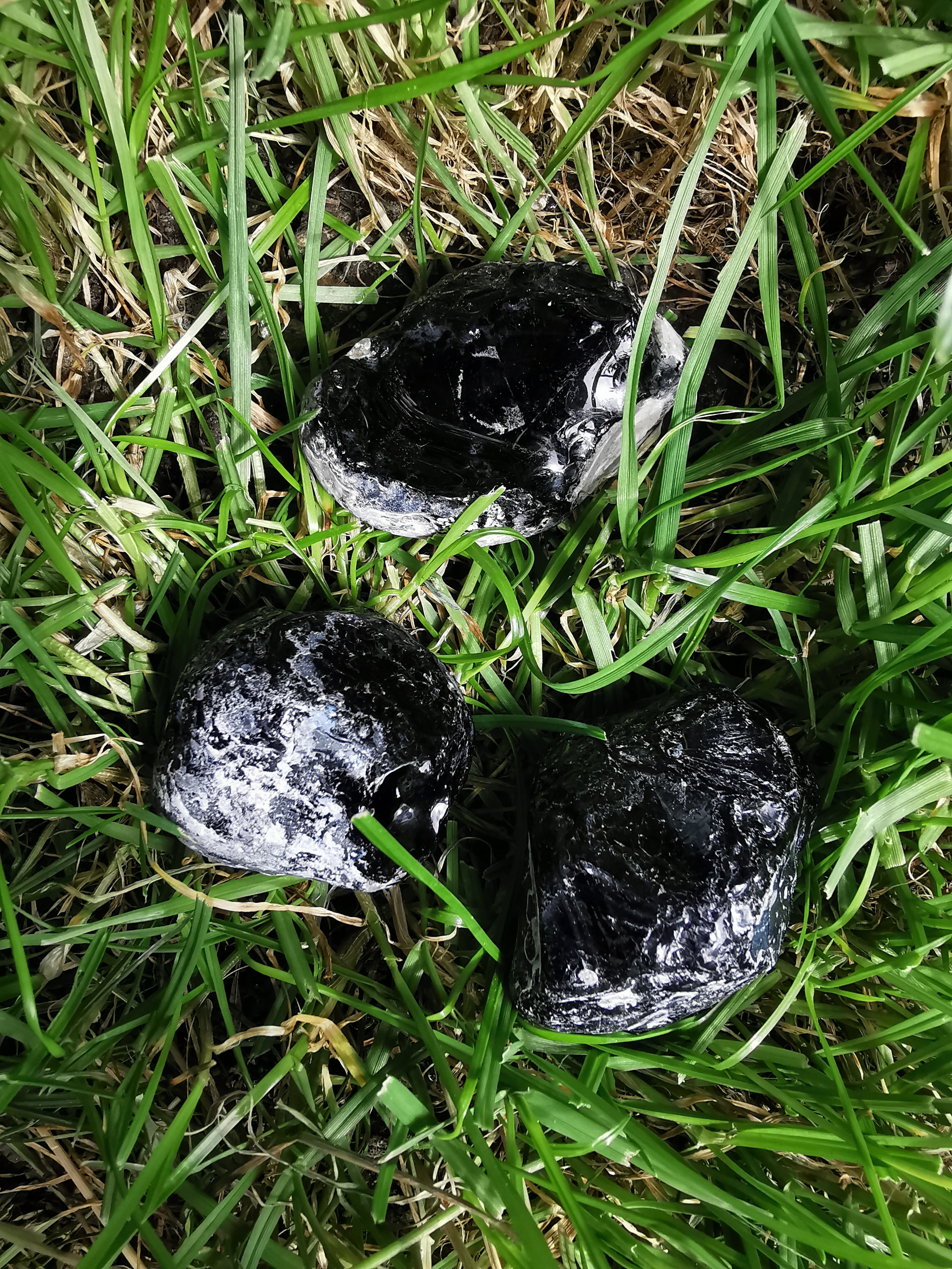 Natural Apache Tears