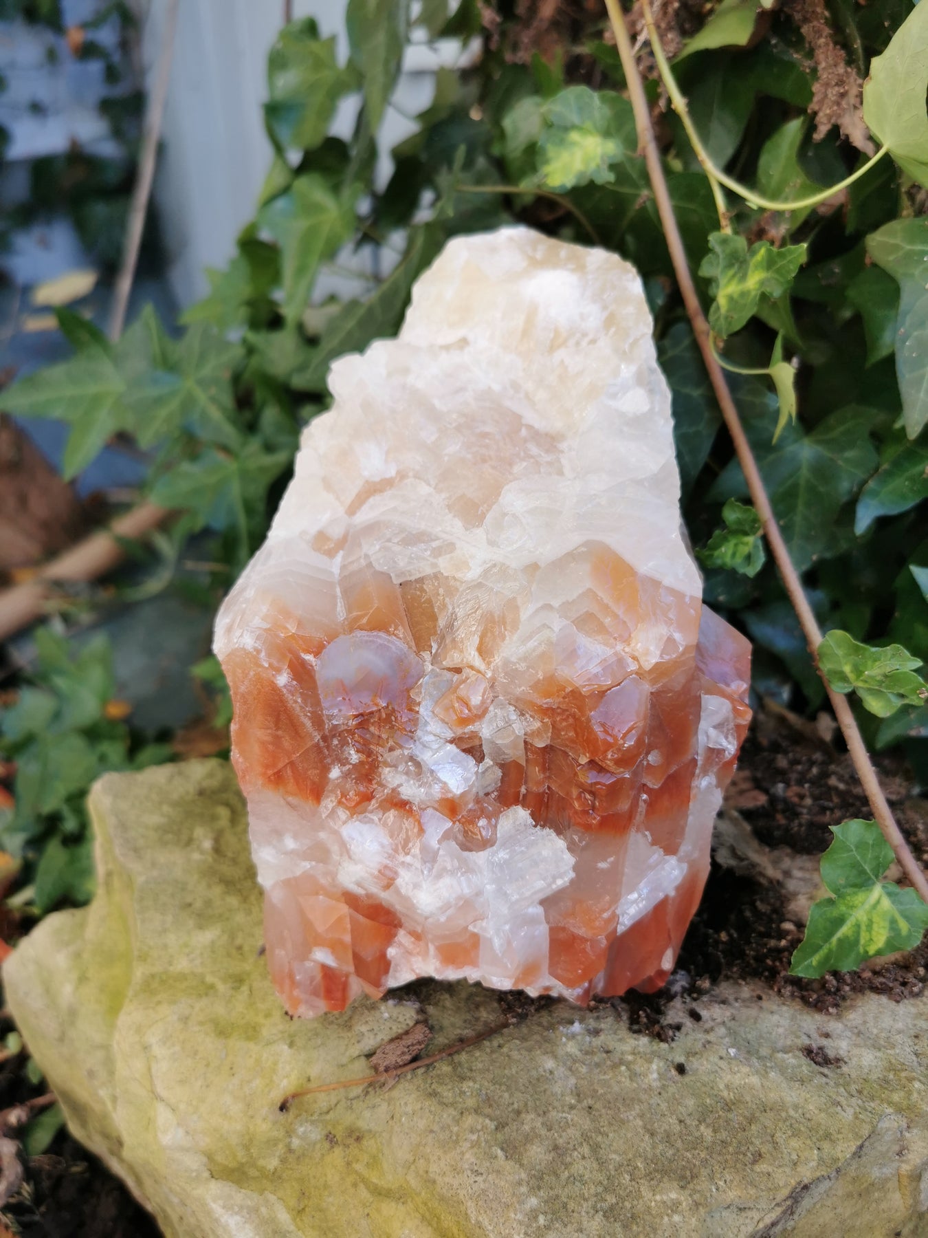 Phantom Calcite