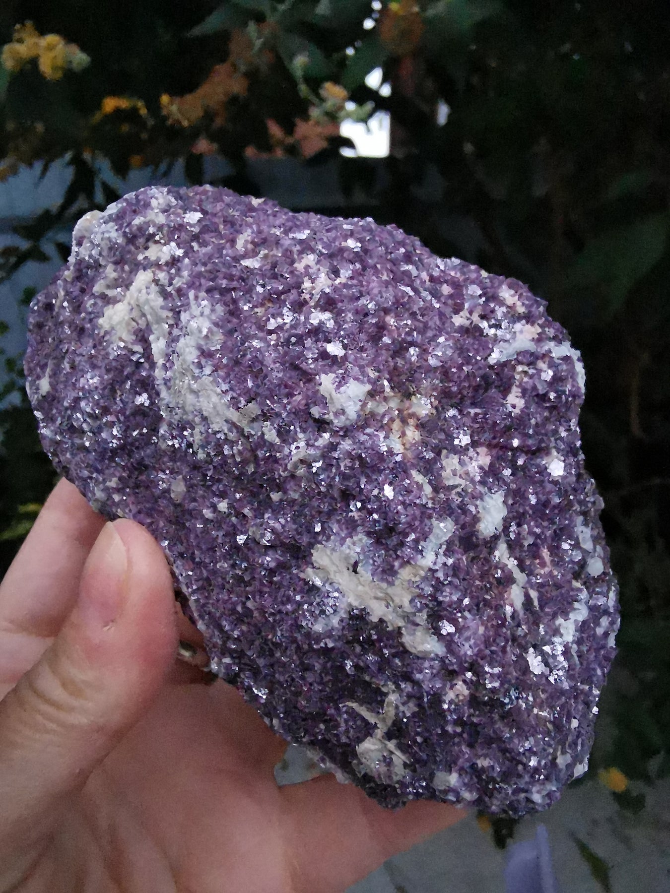 Mica