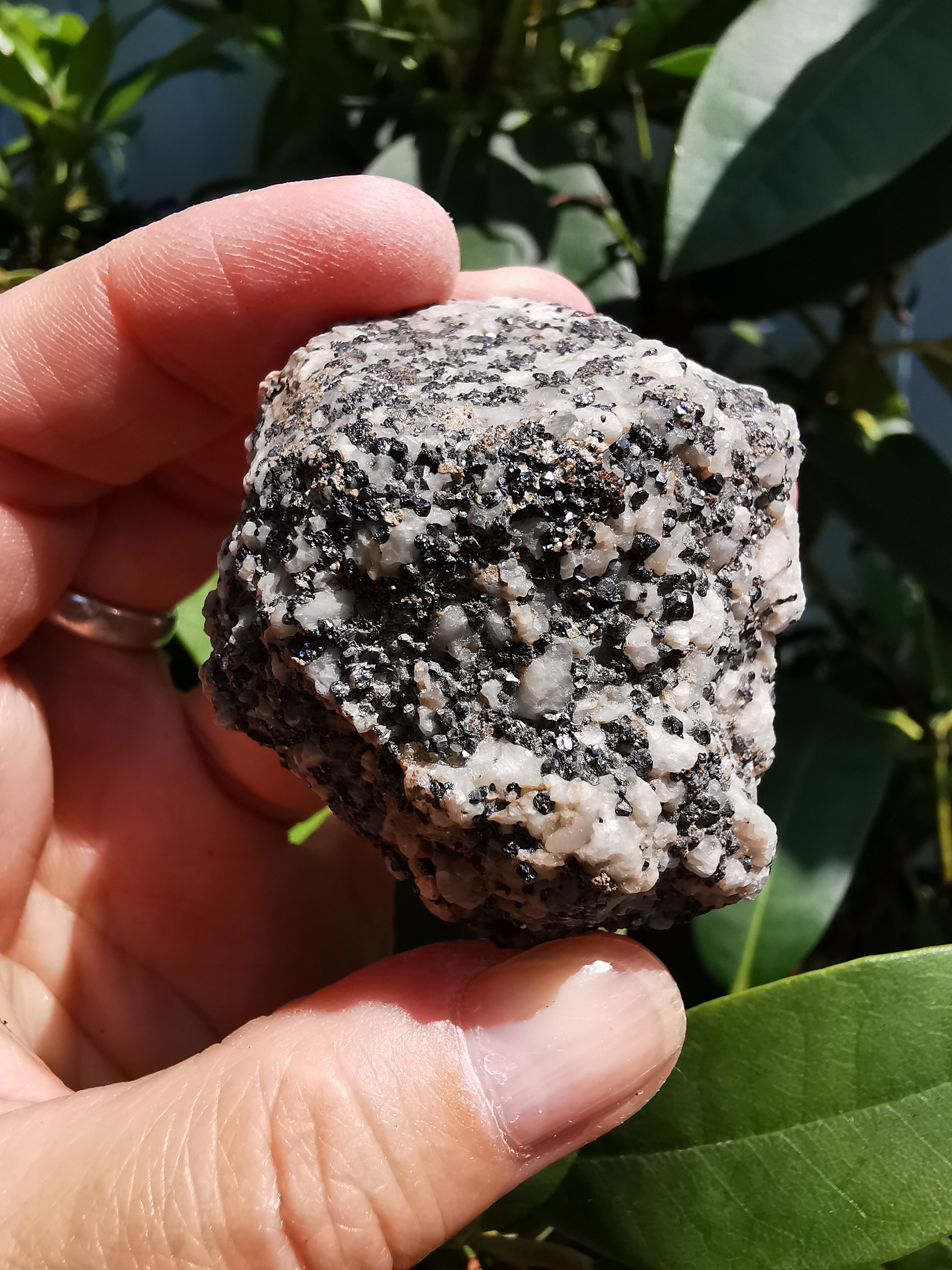 Black Garnet (Melanite)