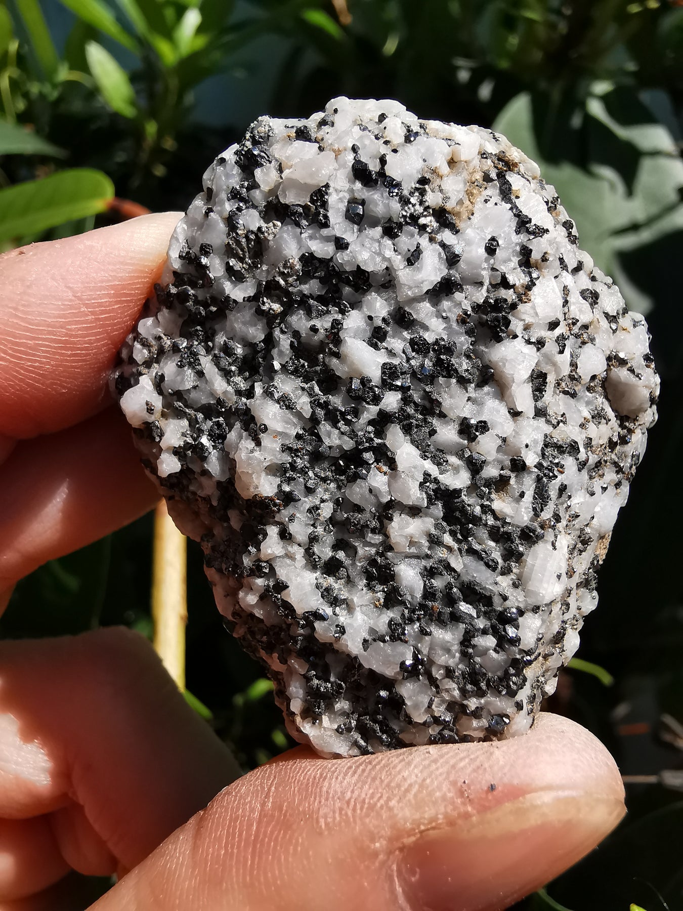 Melanite