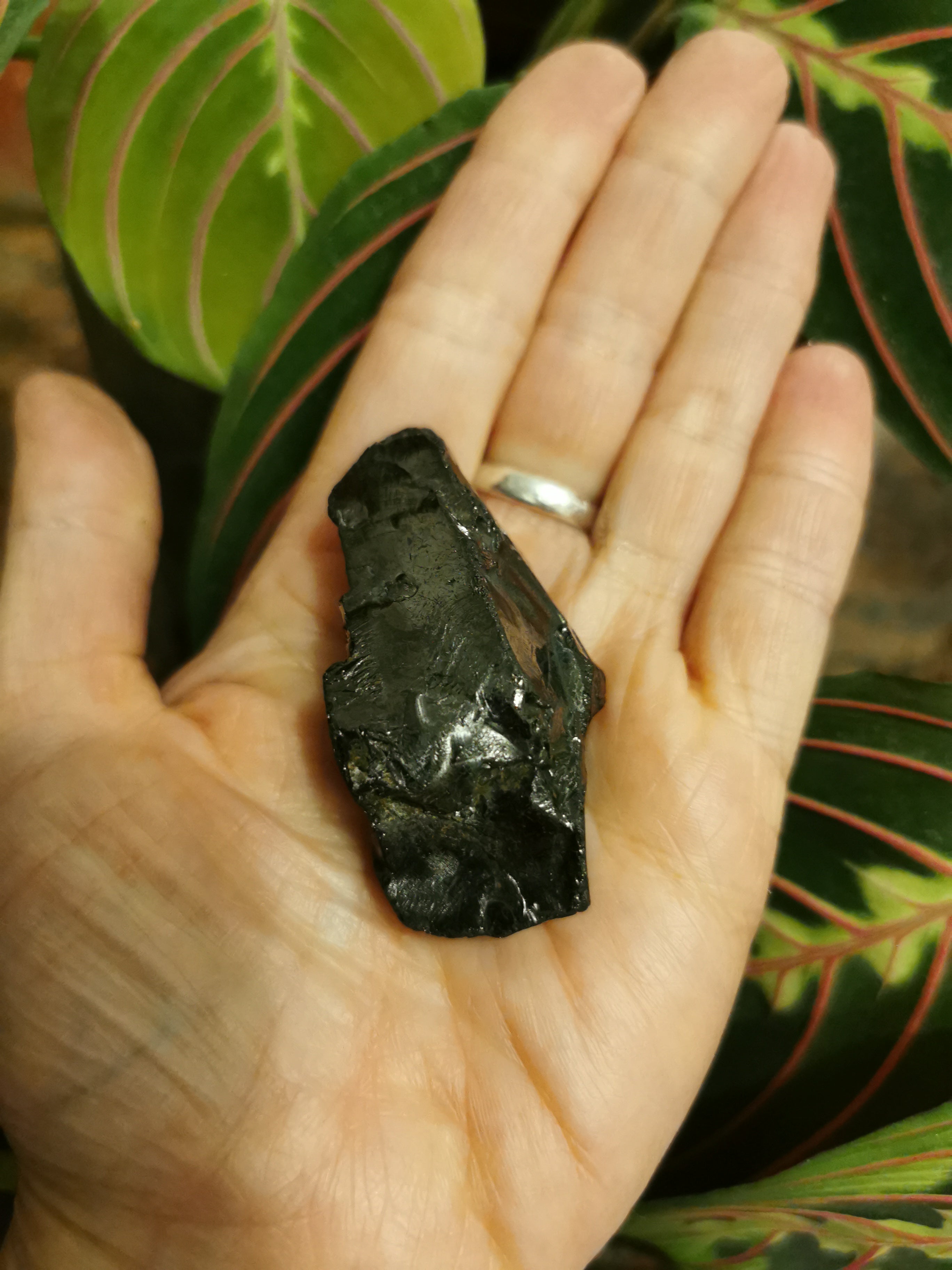 Elite Shungite Natural Piece