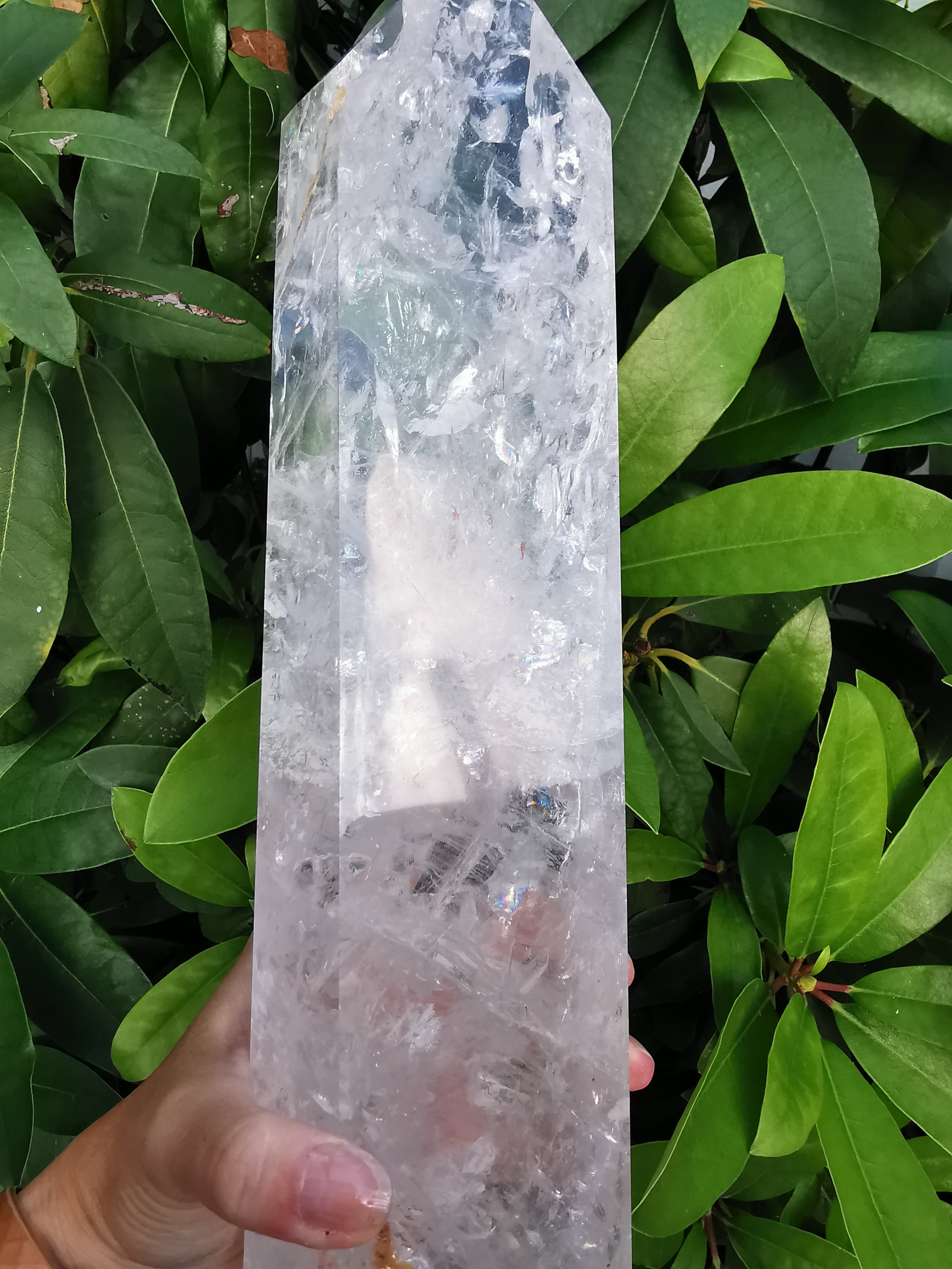 Clear Quartz Polished Point