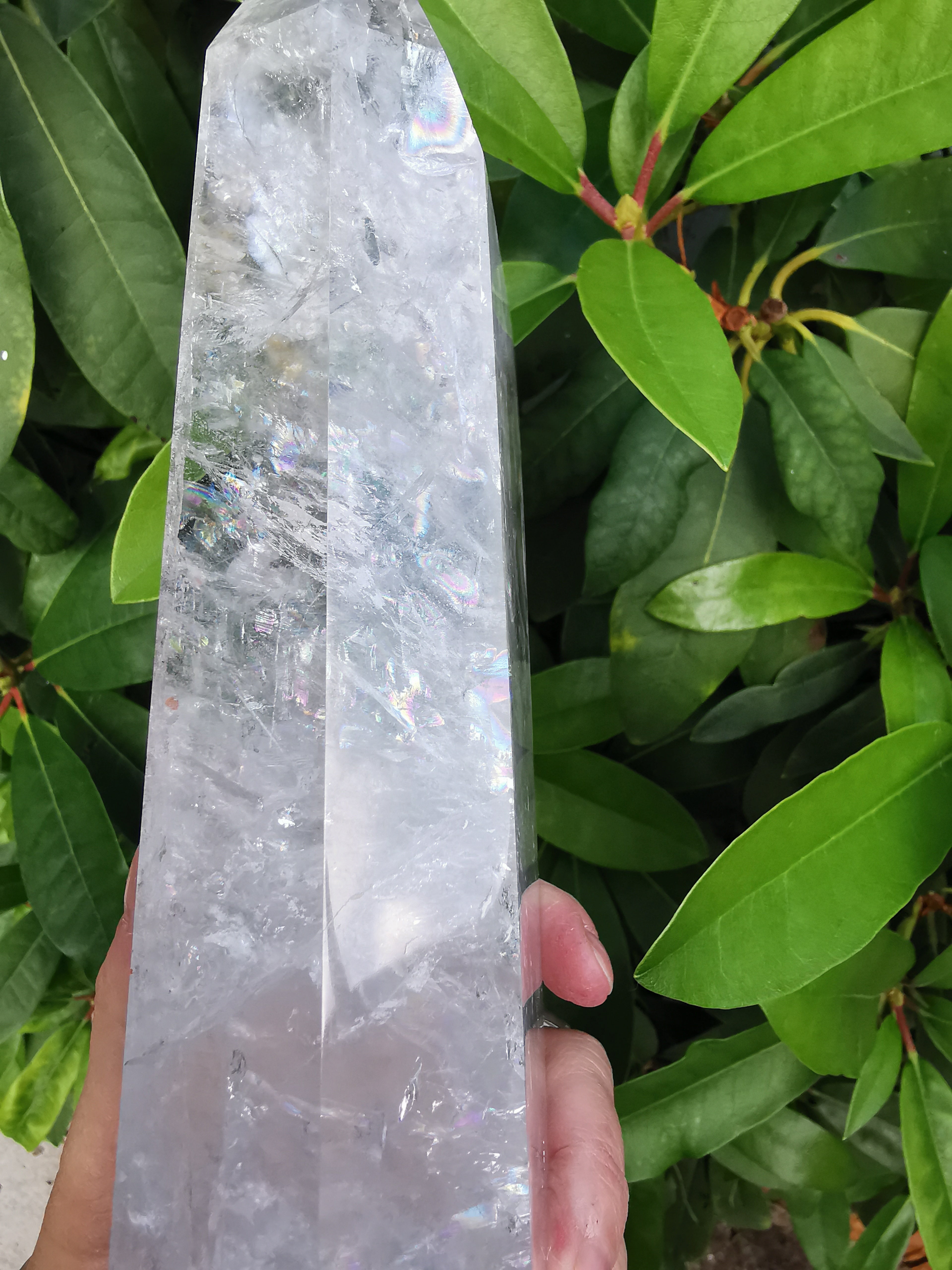 Clear Quartz Polished Point