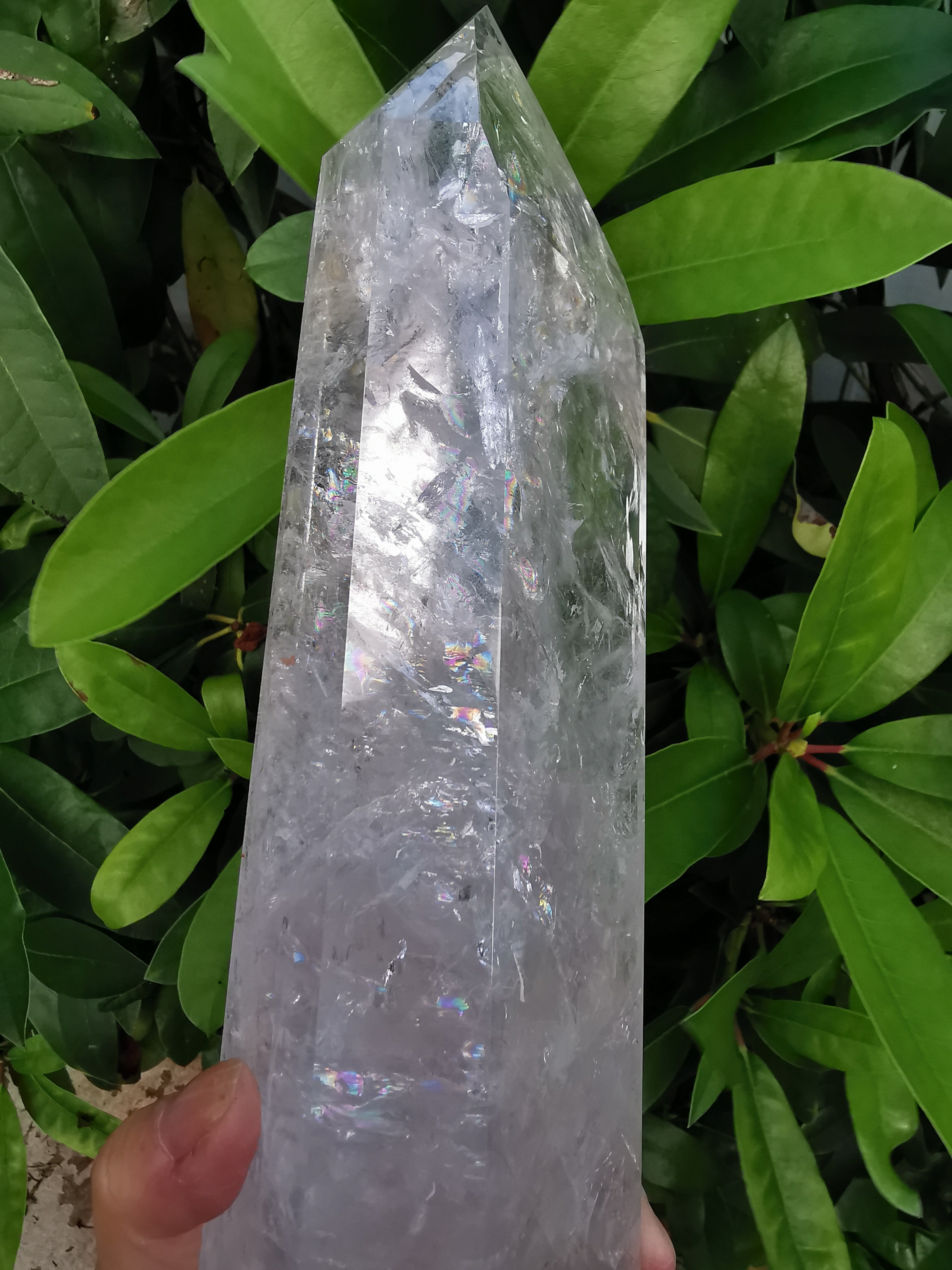 Clear Quartz Polished Point