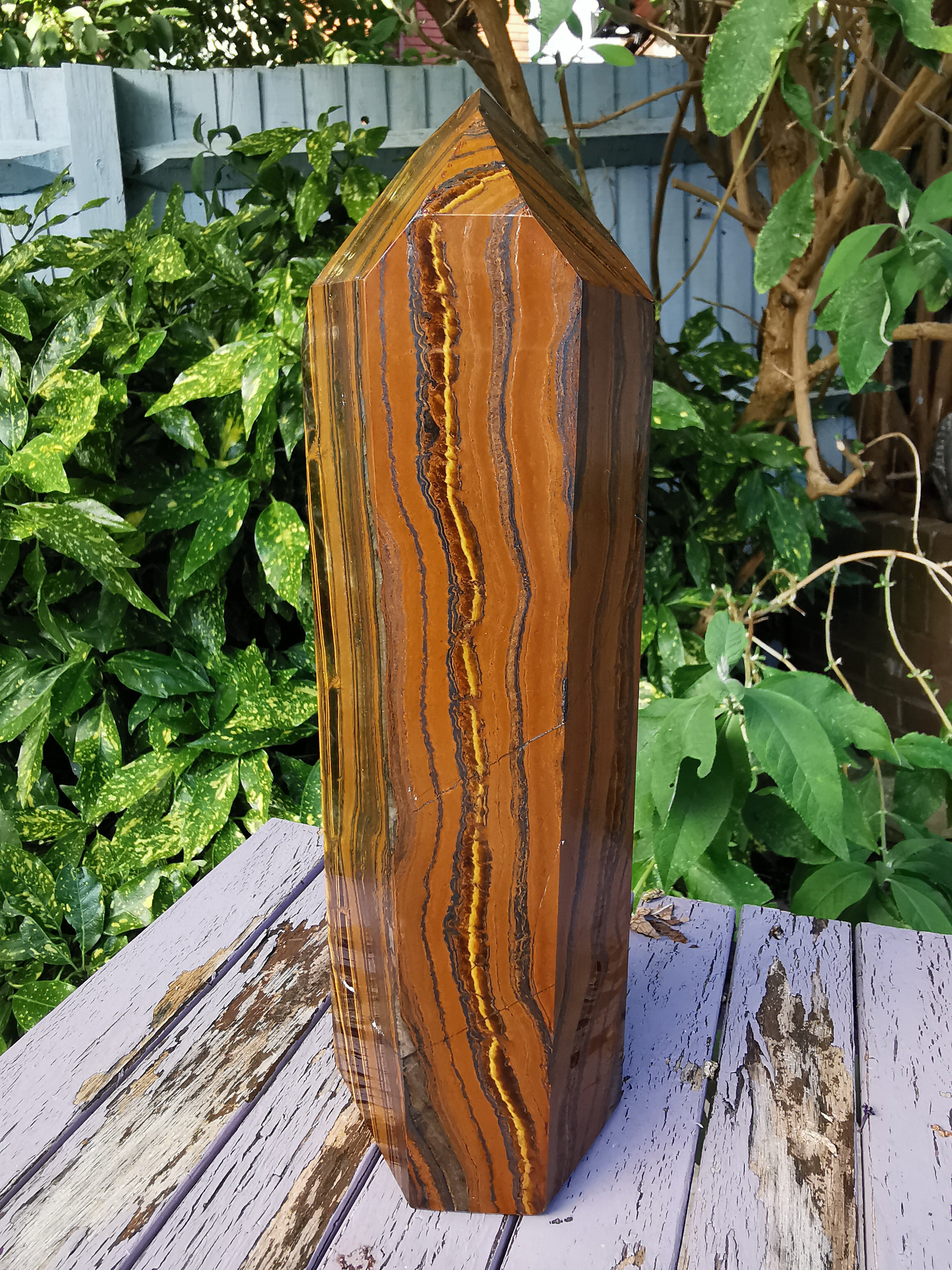 Tiger Iron Polished Point