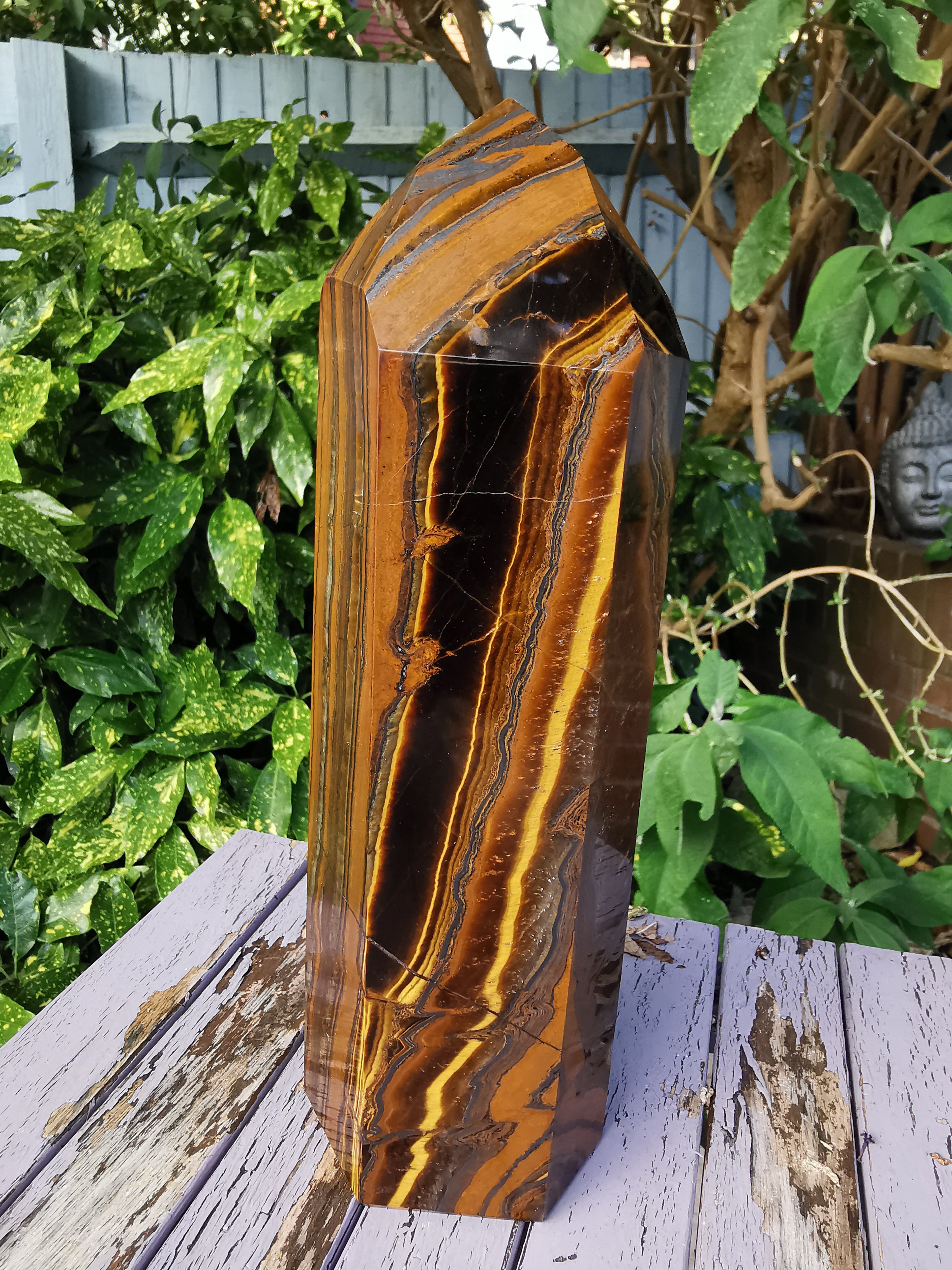 Tiger Iron Polished Point