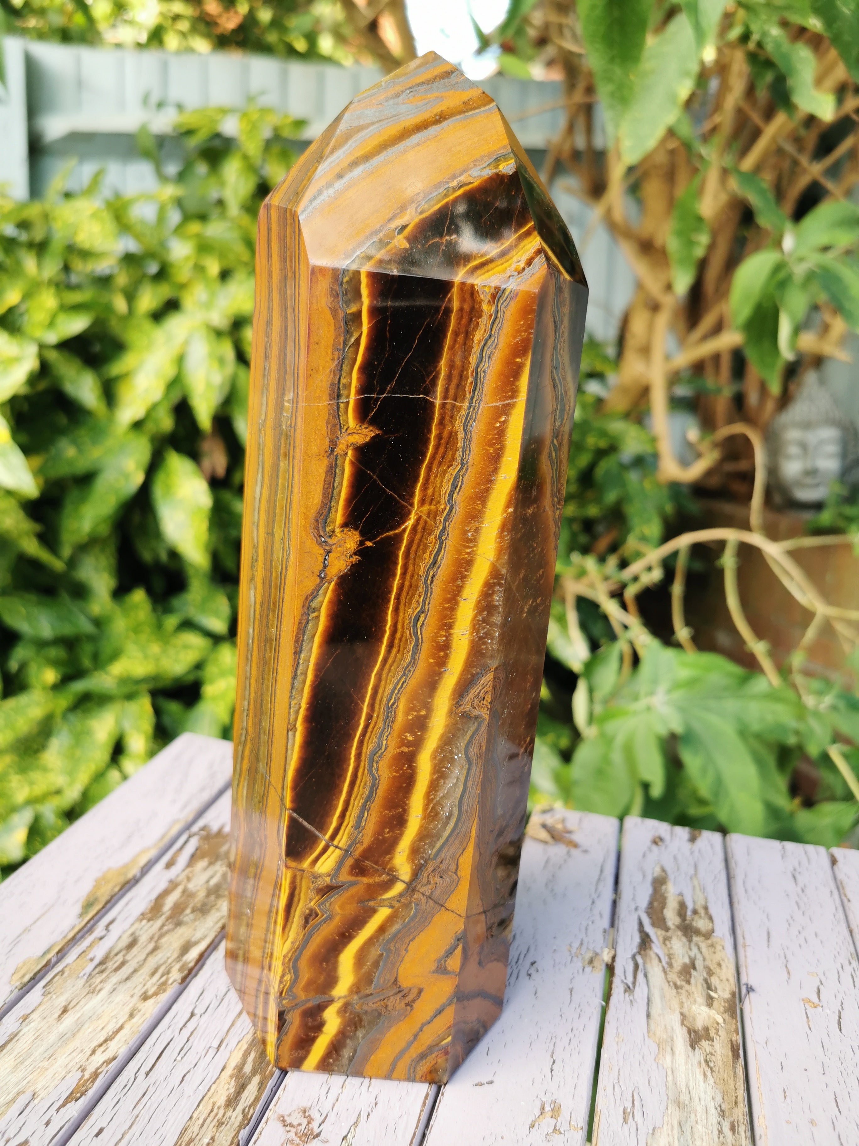 Tiger Iron Polished Point