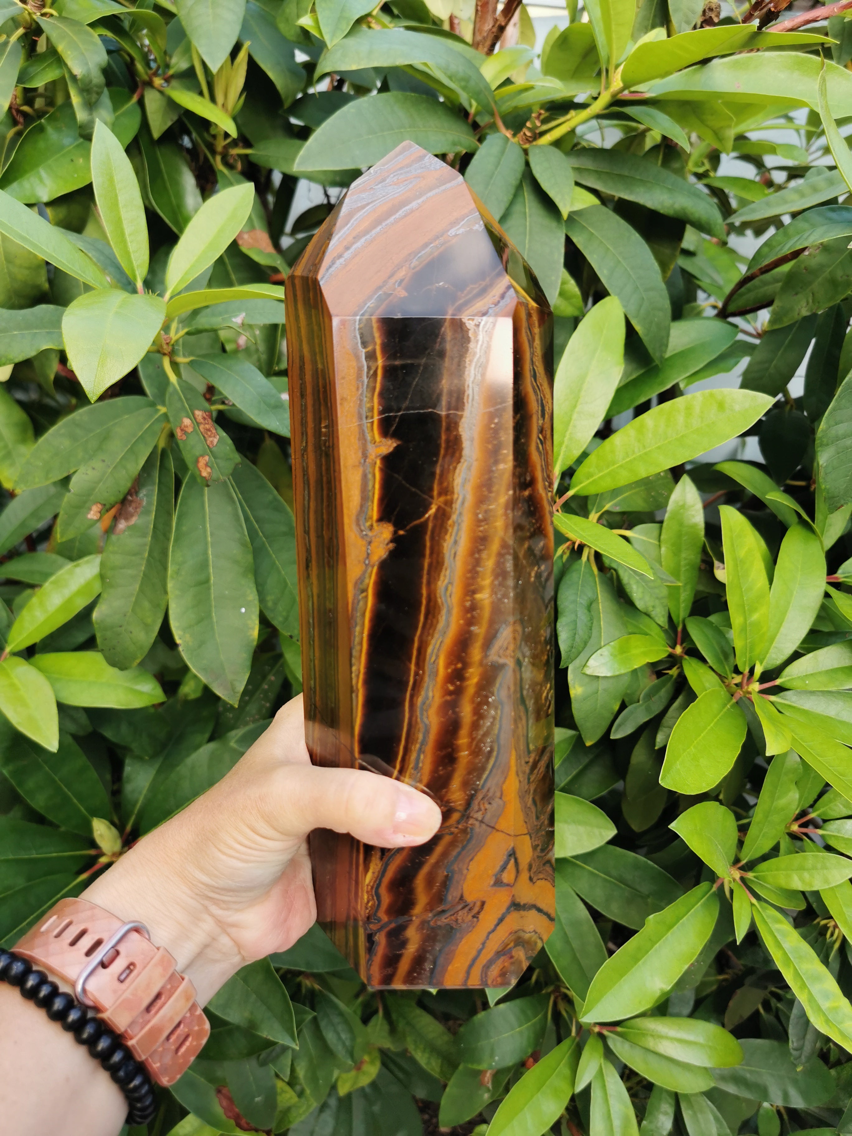 Tiger Iron Polished Point