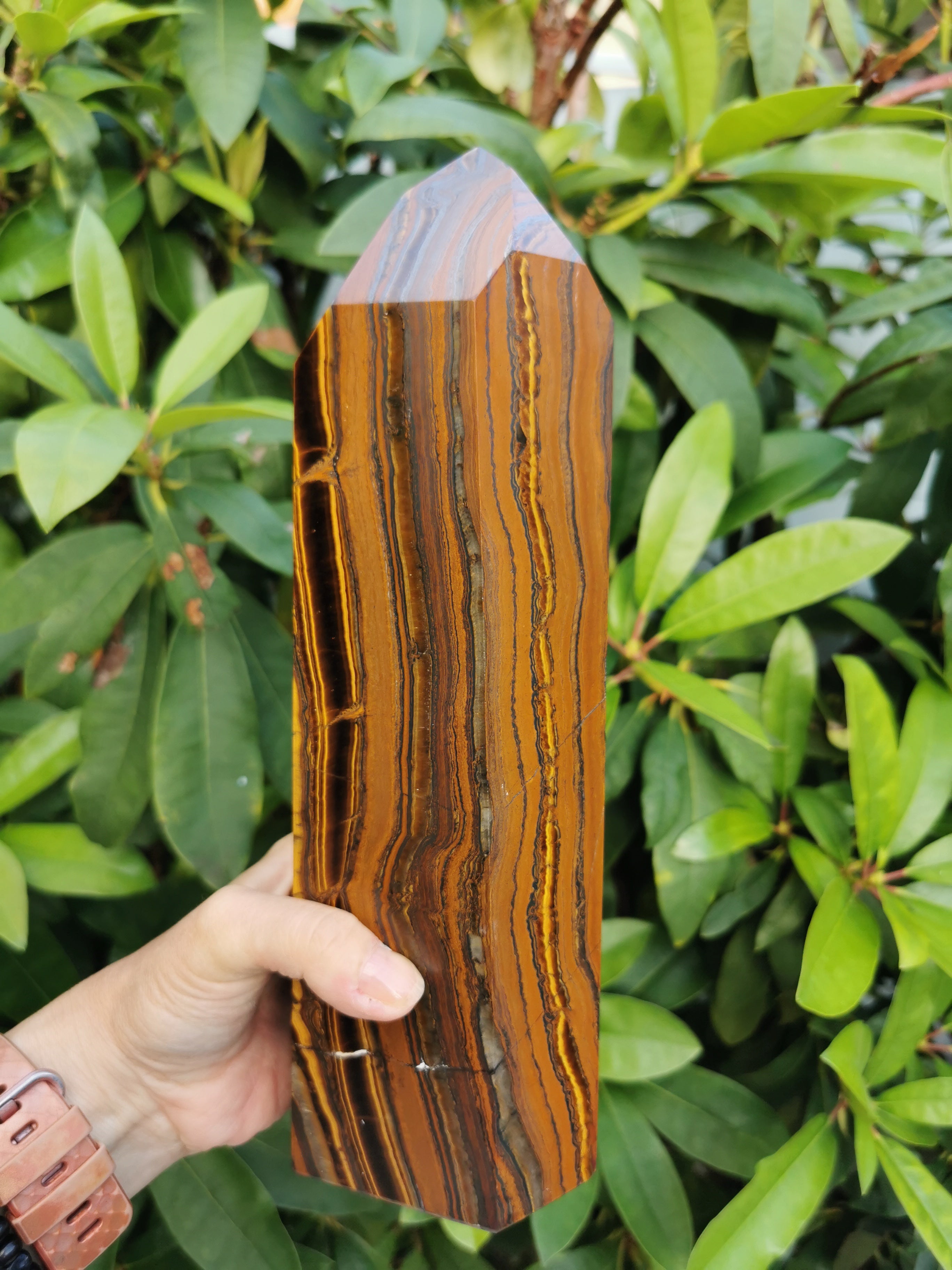 Tiger Iron Polished Point