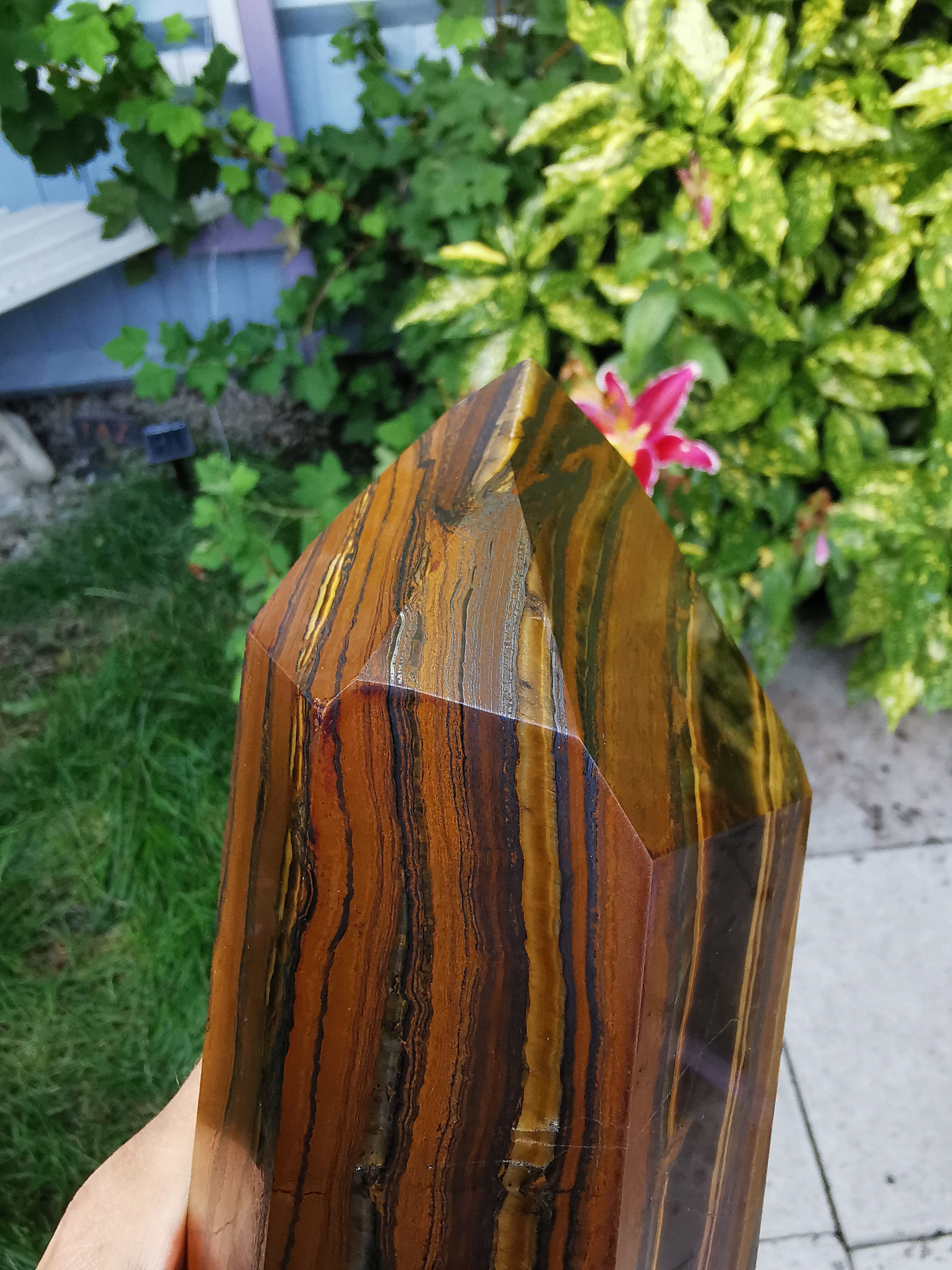 Tiger Iron Polished Point