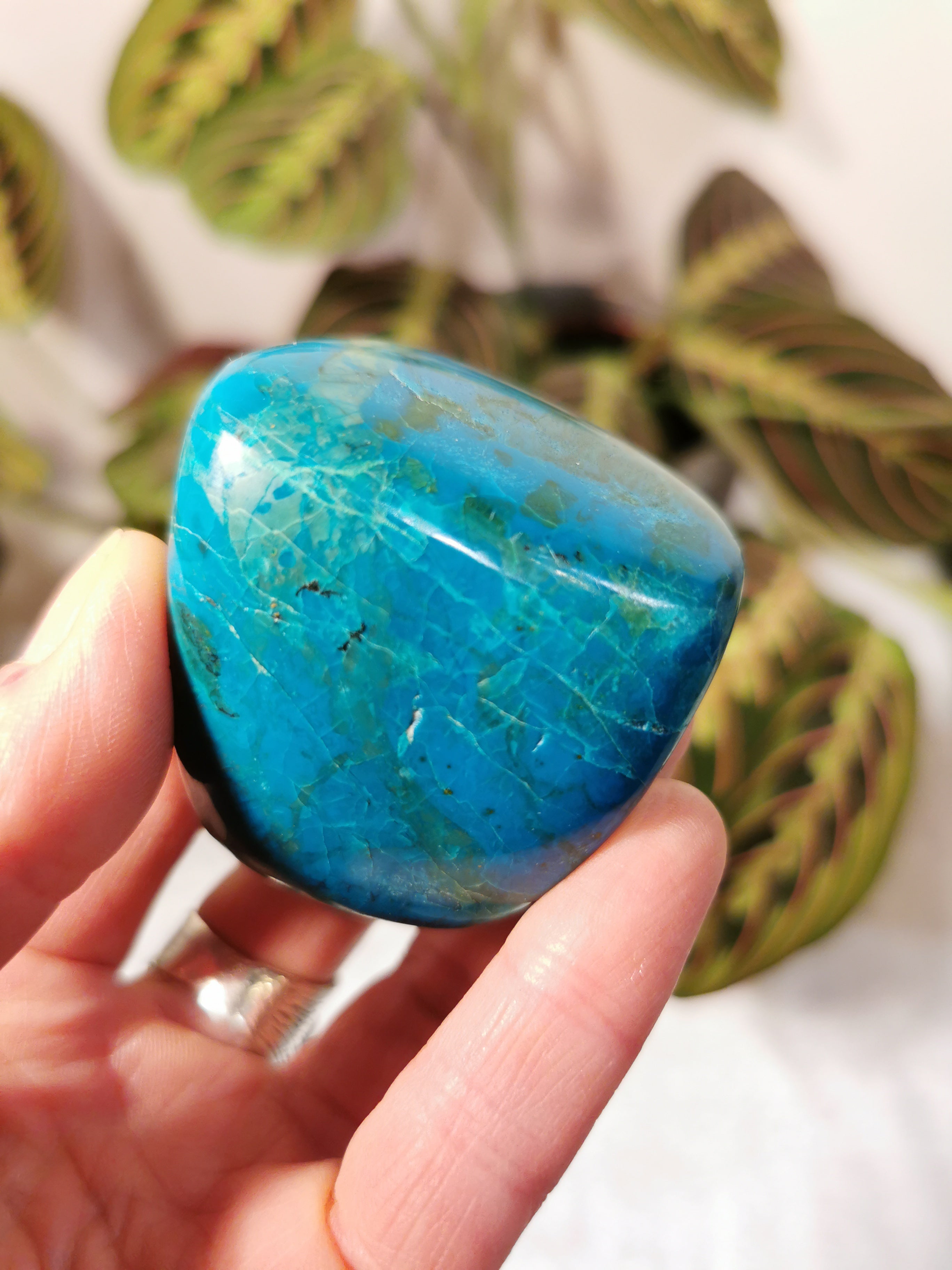 Chrysocolla Palm Stone