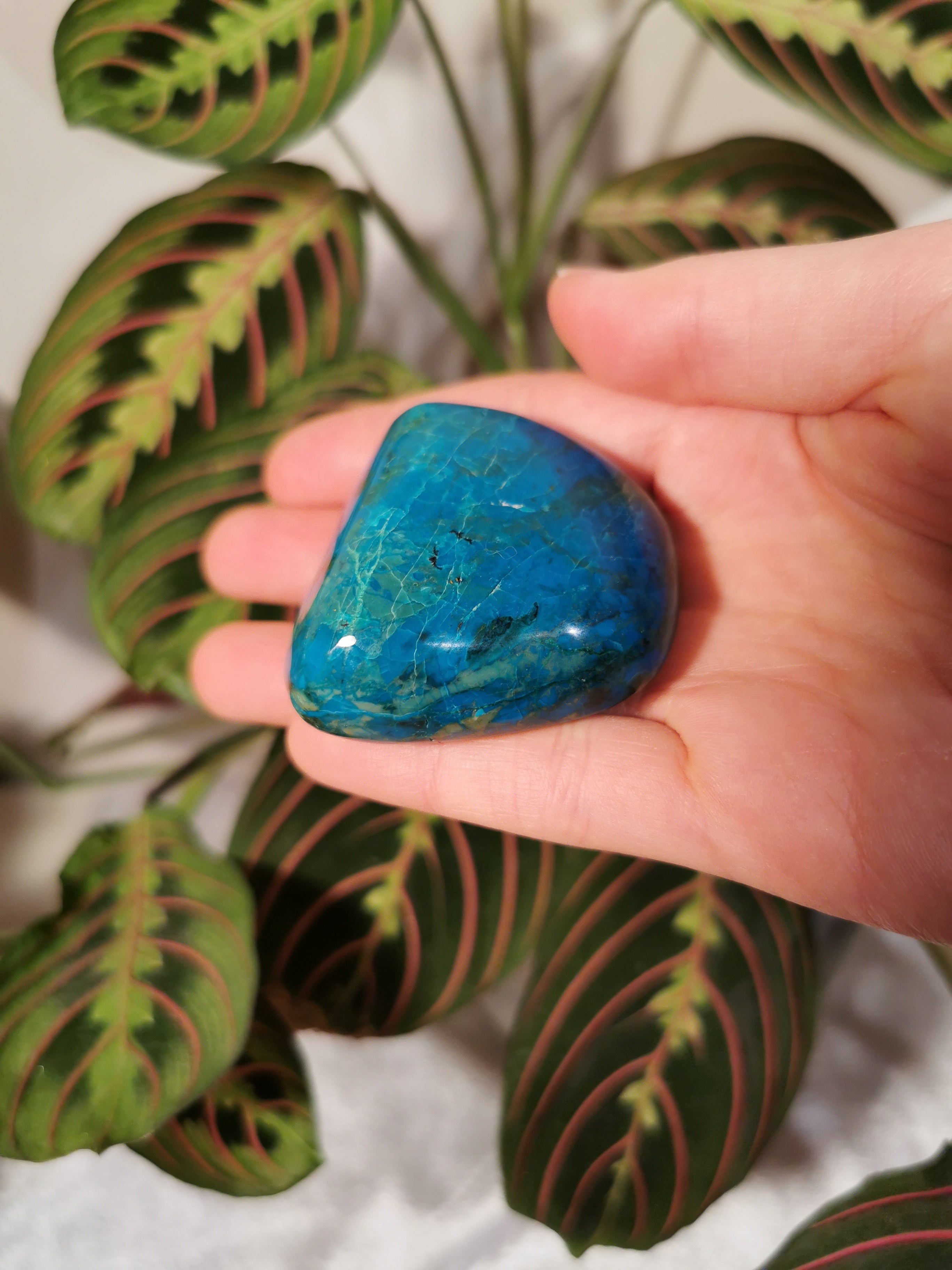 Chrysocolla Palm Stone