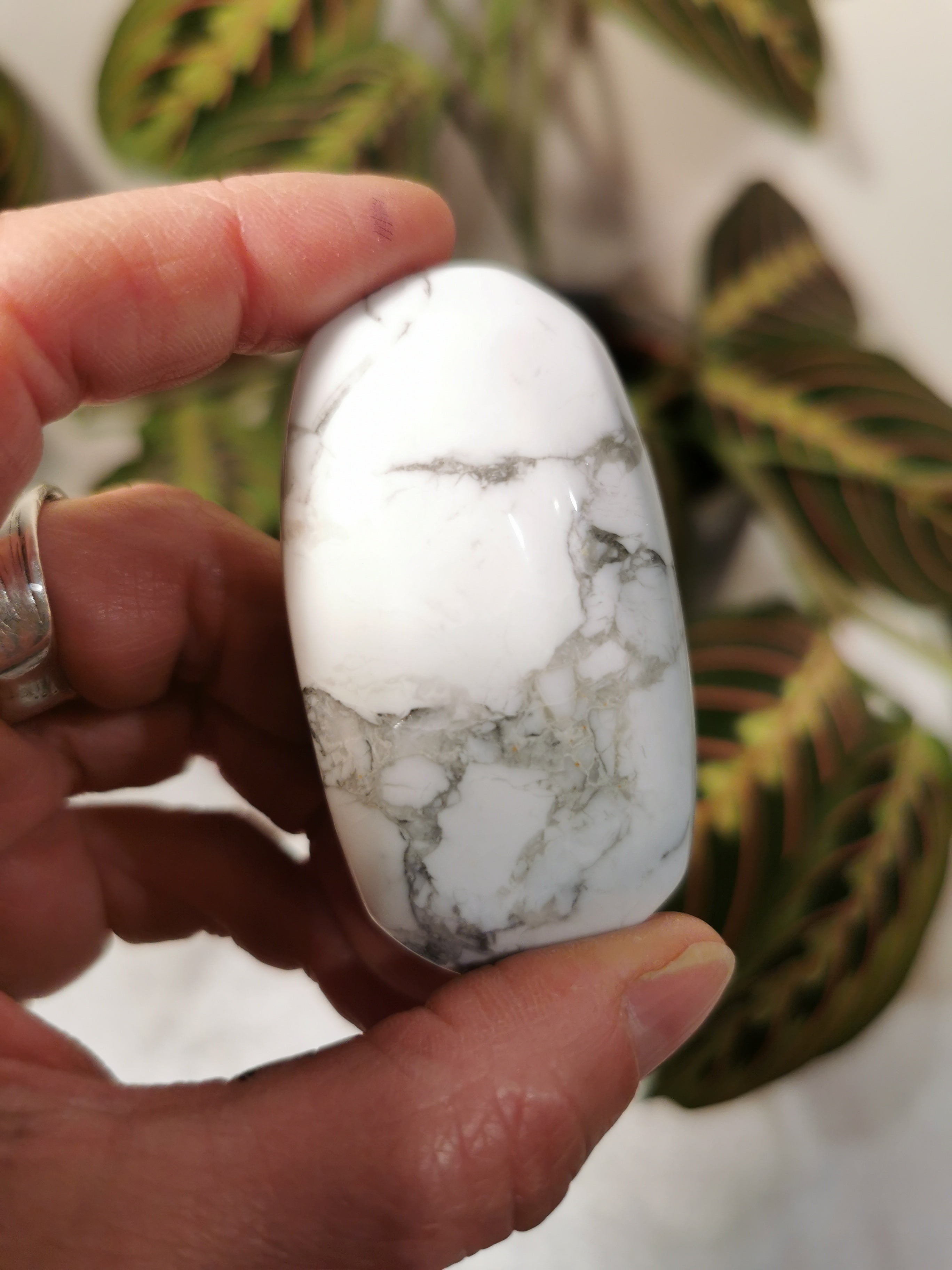 Howlite Palm Stone