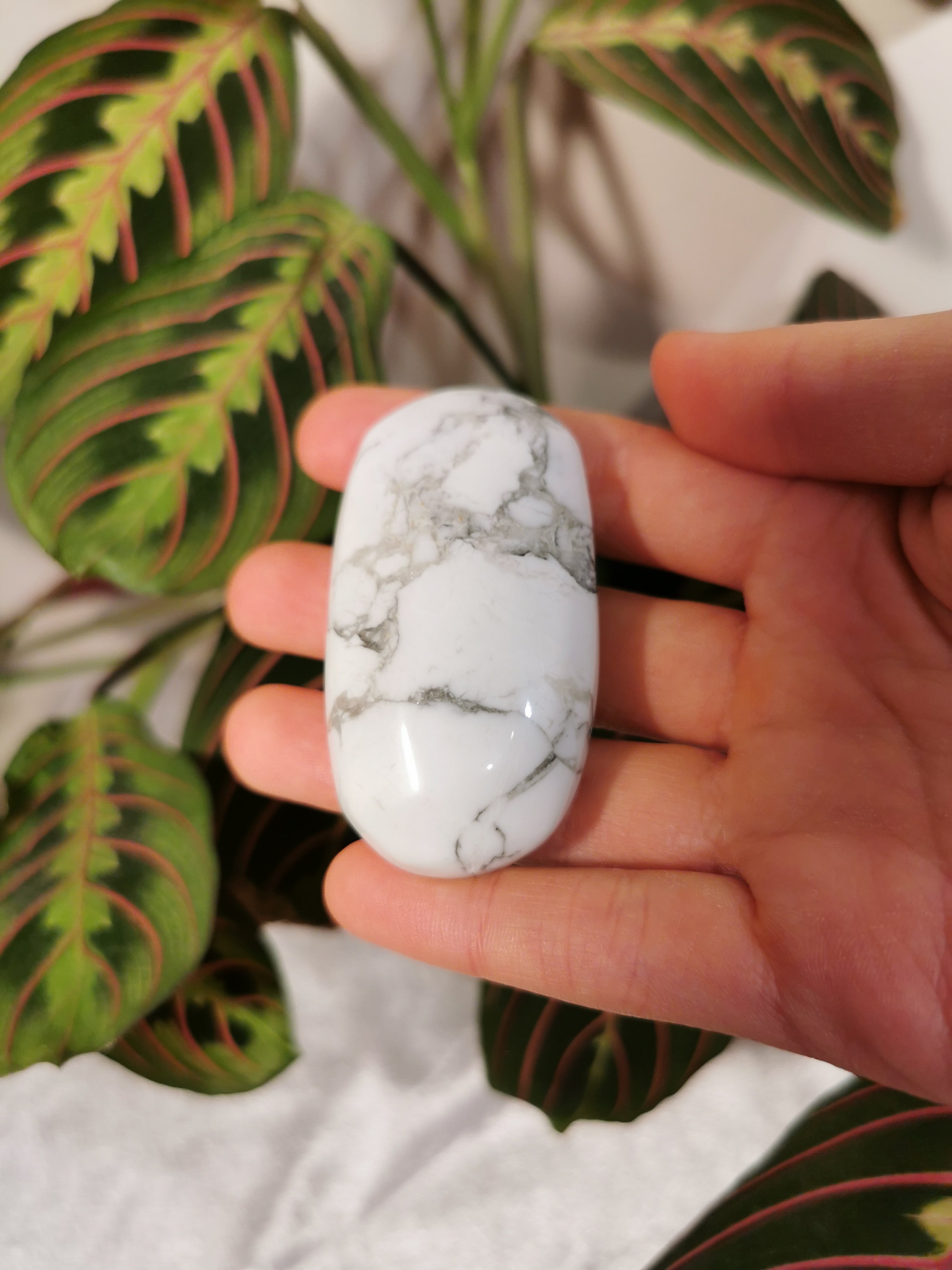 Howlite Palm Stone