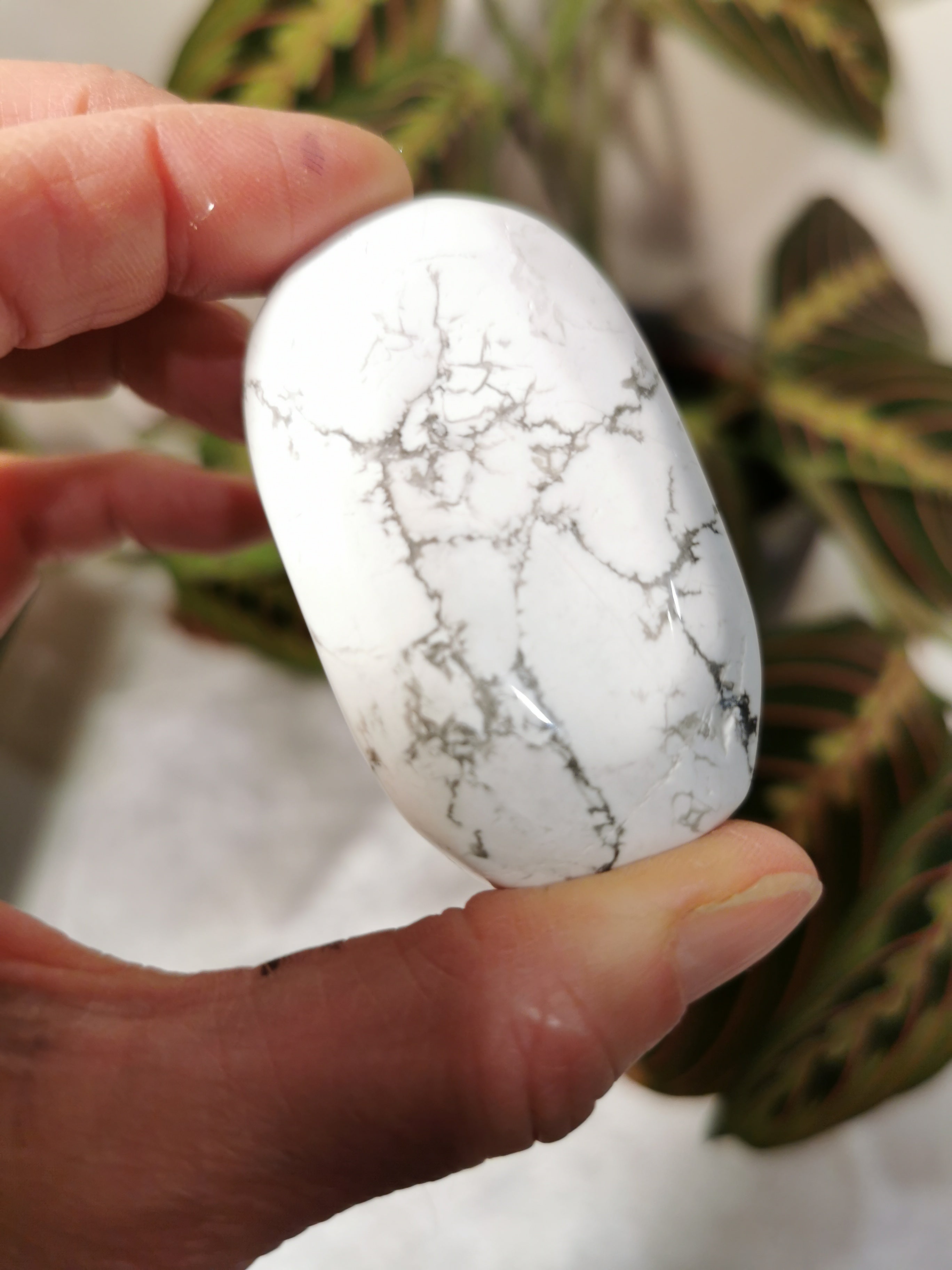 Howlite Palm Stone