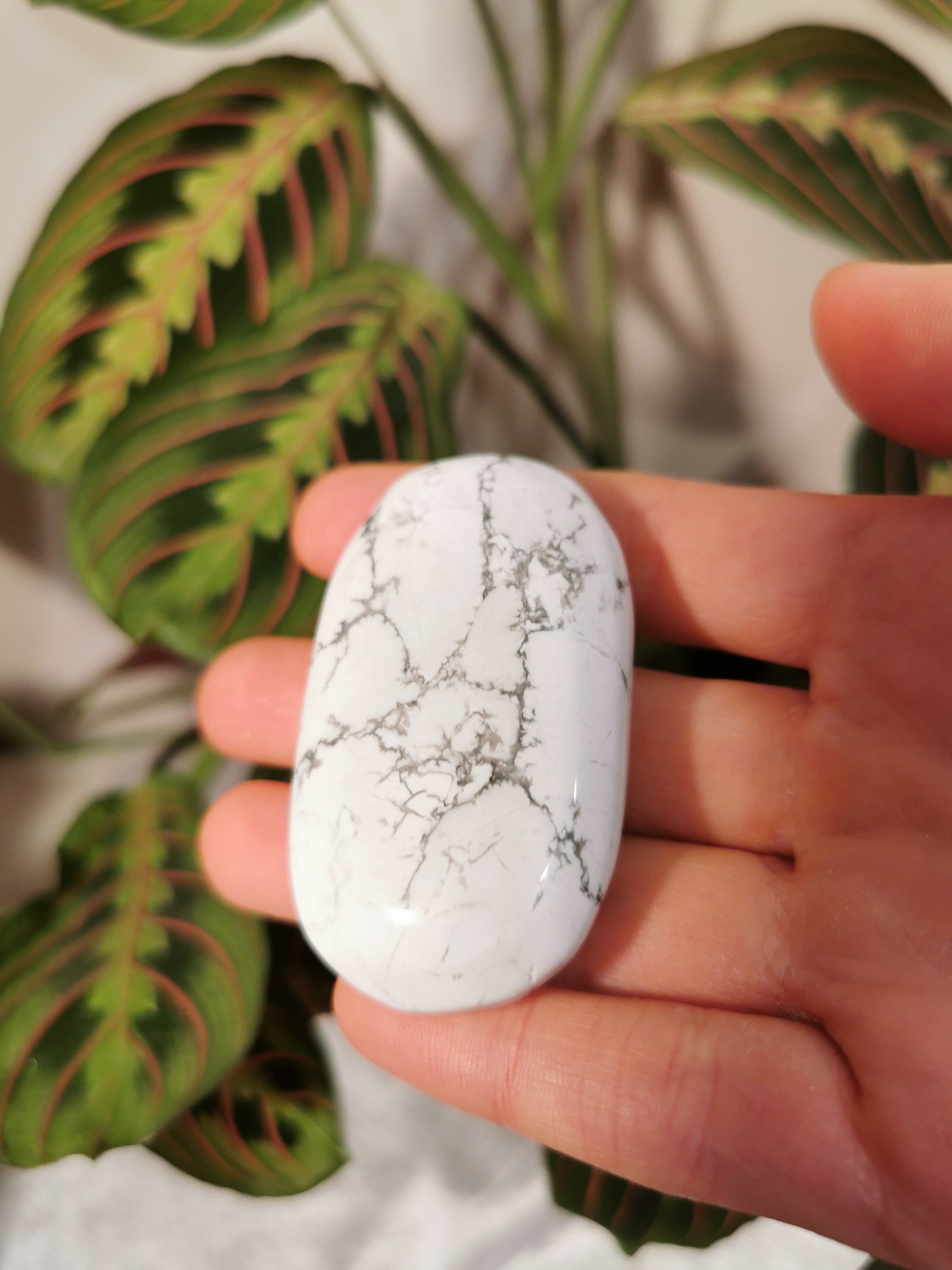 Howlite Palm Stone