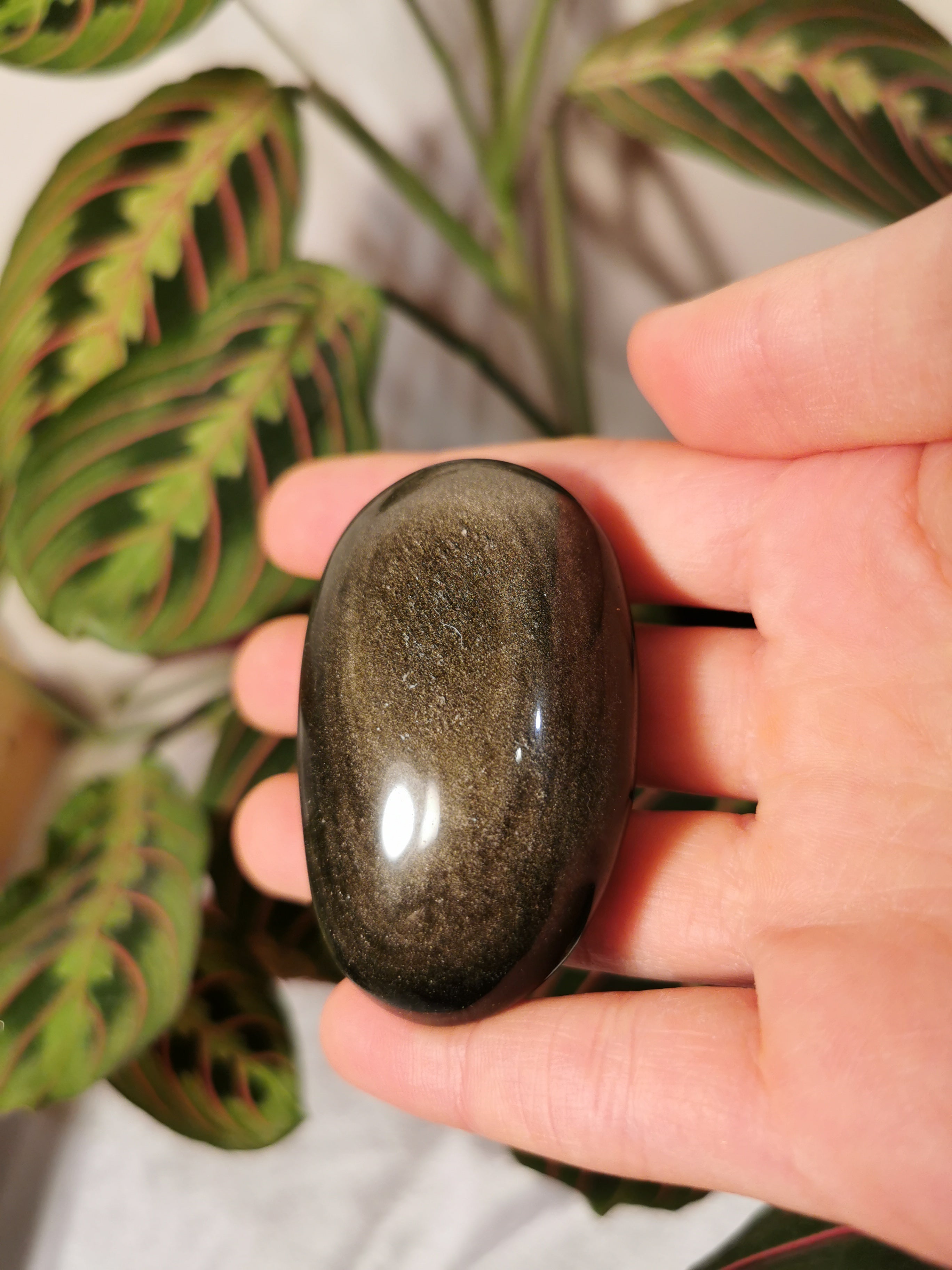 Sheen Obsidian Palm Stone