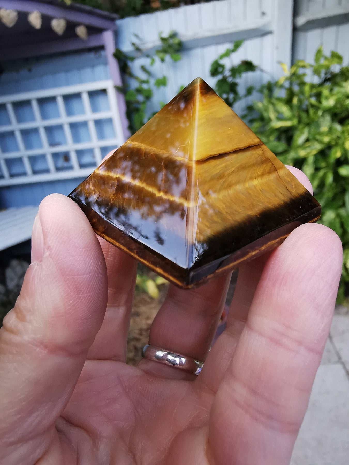 Tiger Eye