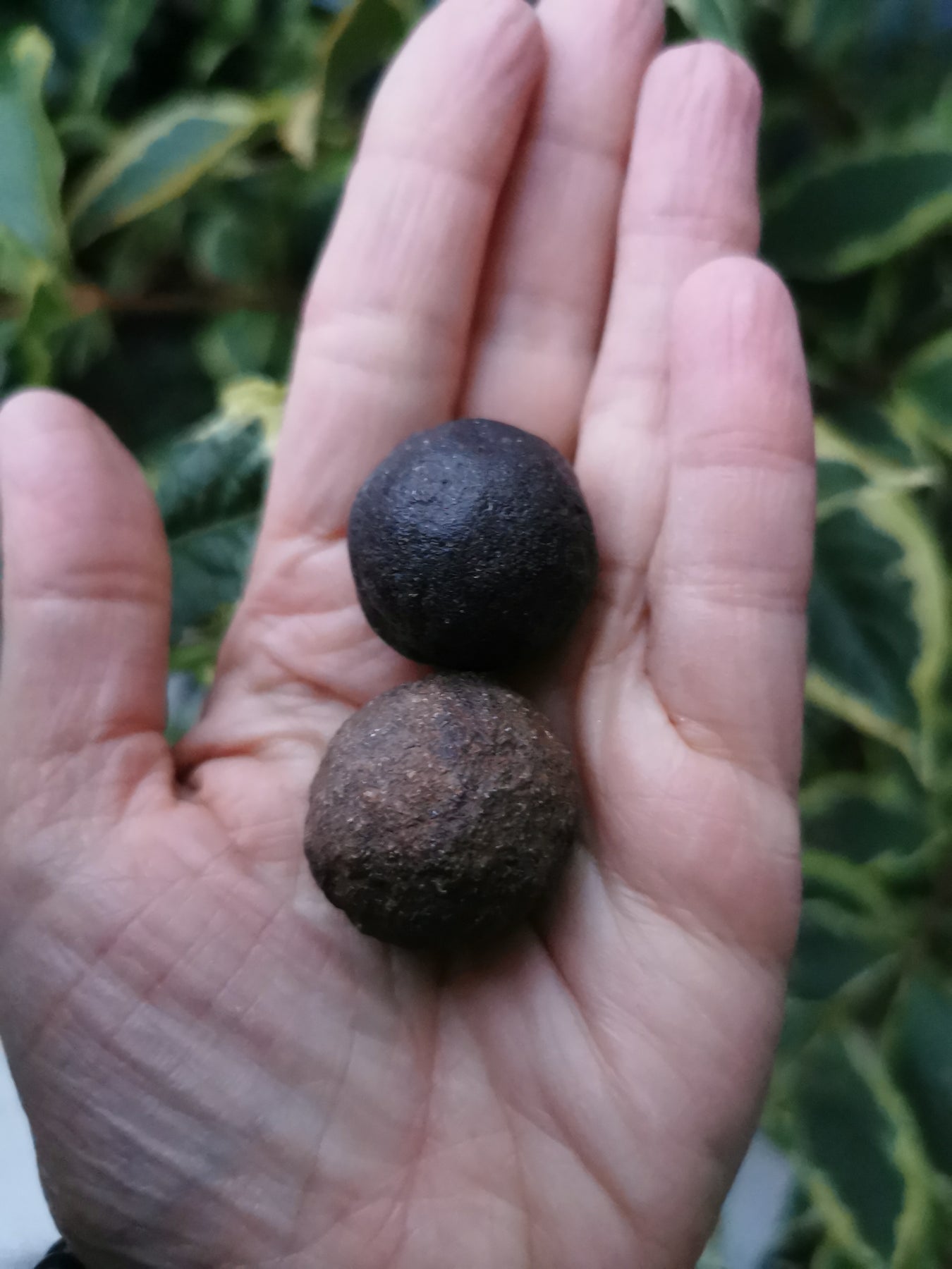 Shaman Stones