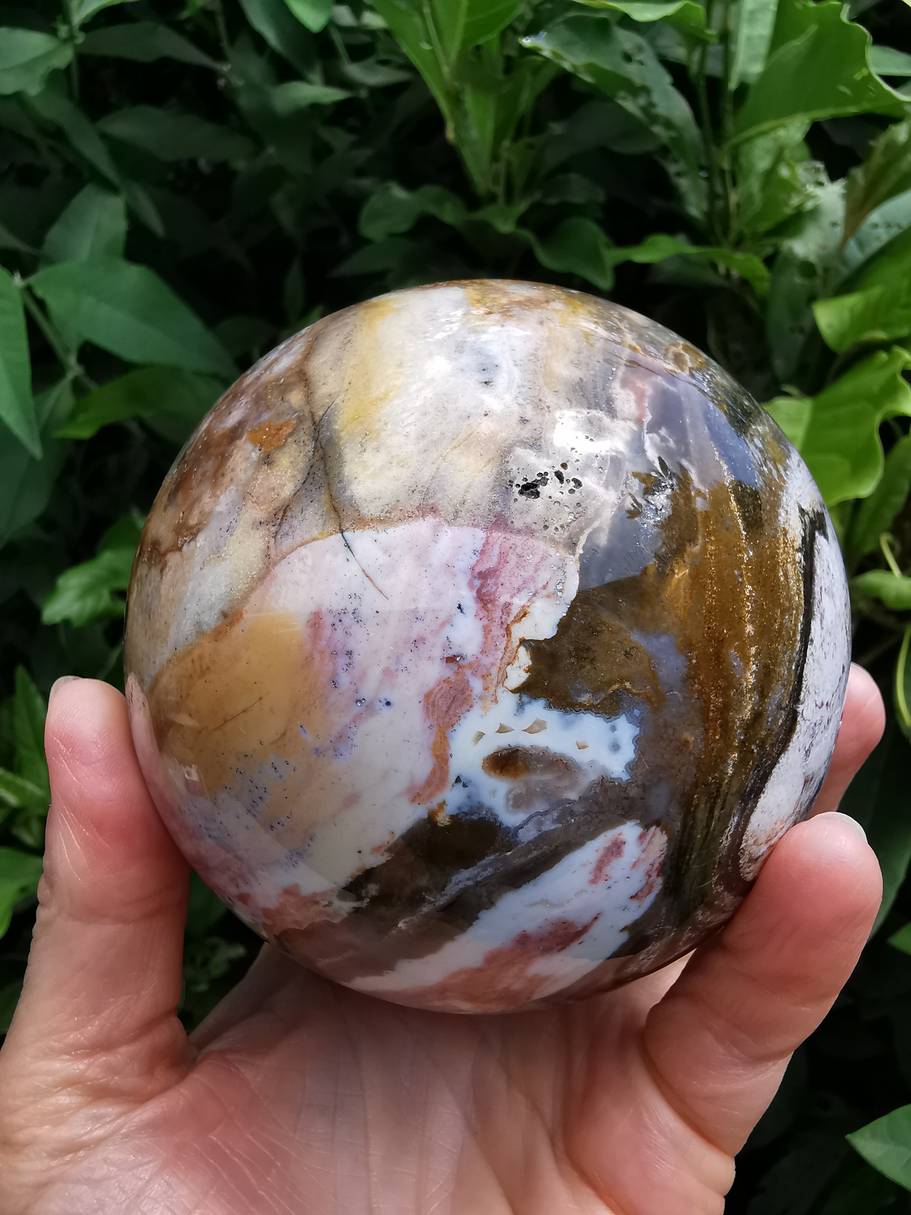 Ocean Jasper & Fossil Wood Sphere - 9.25cm (diameter)