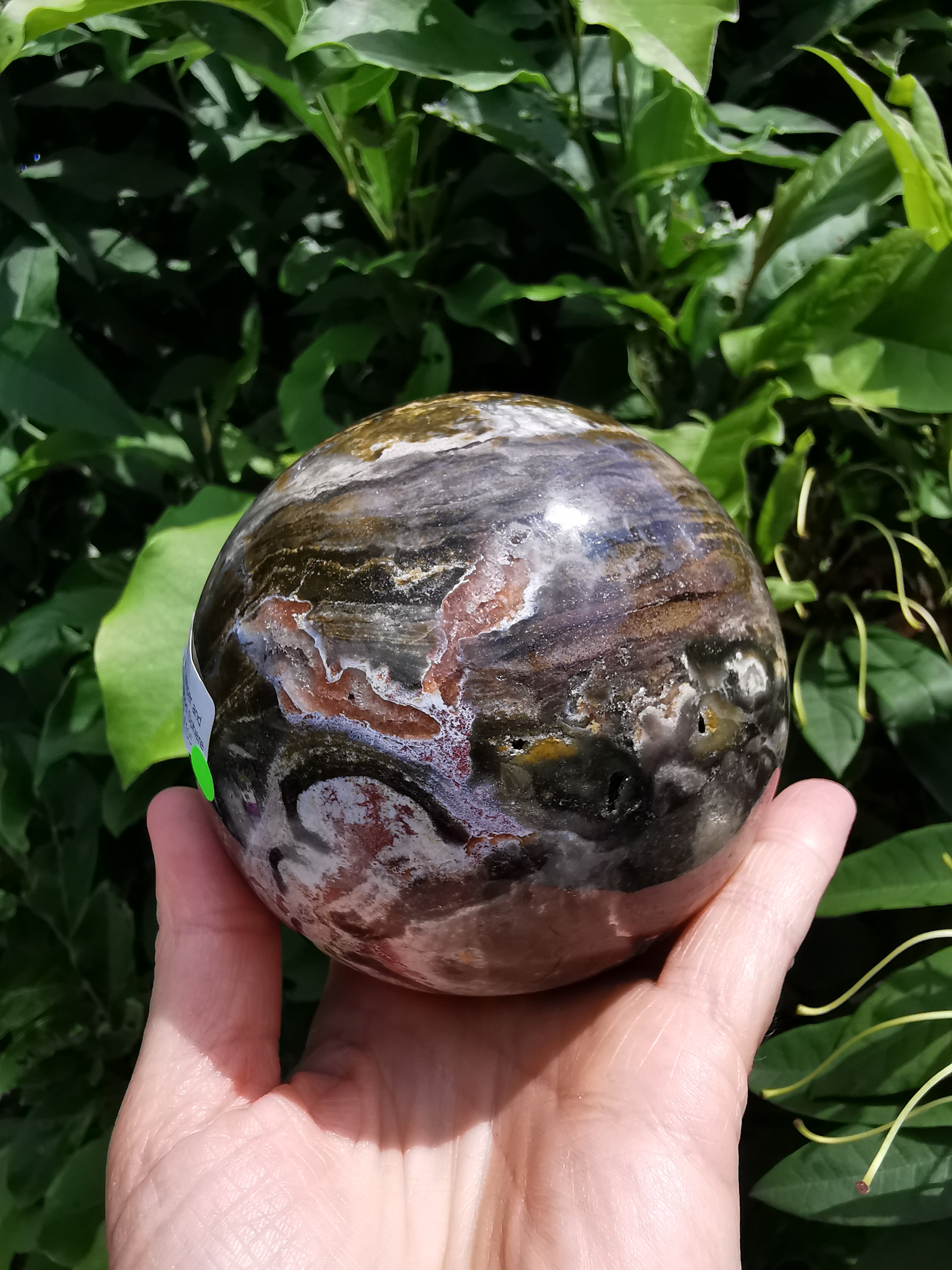 Ocean Jasper & Fossil Wood Sphere - 9.25cm (diameter)