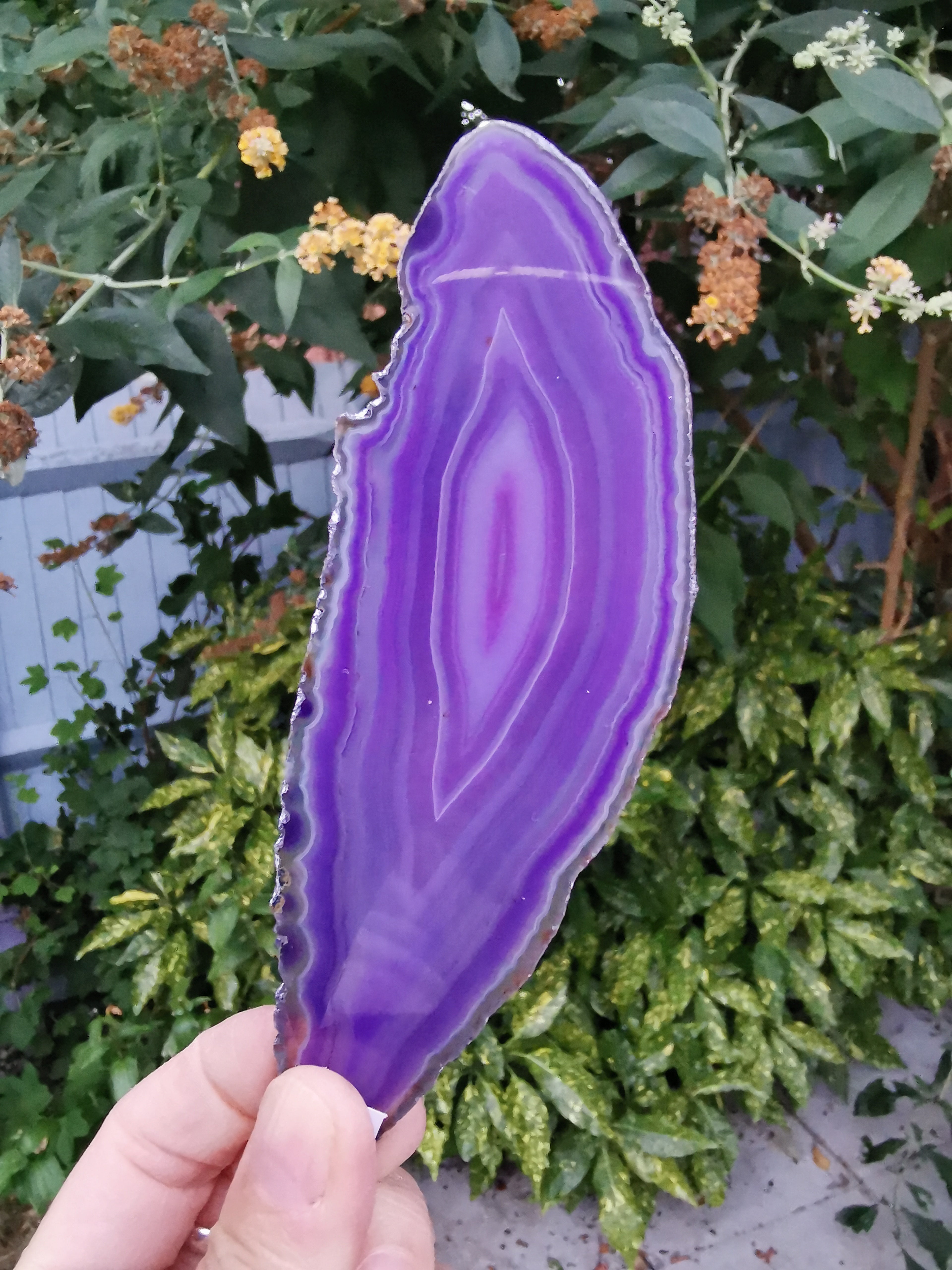 Purple Agate Slice (Colour enhanced)