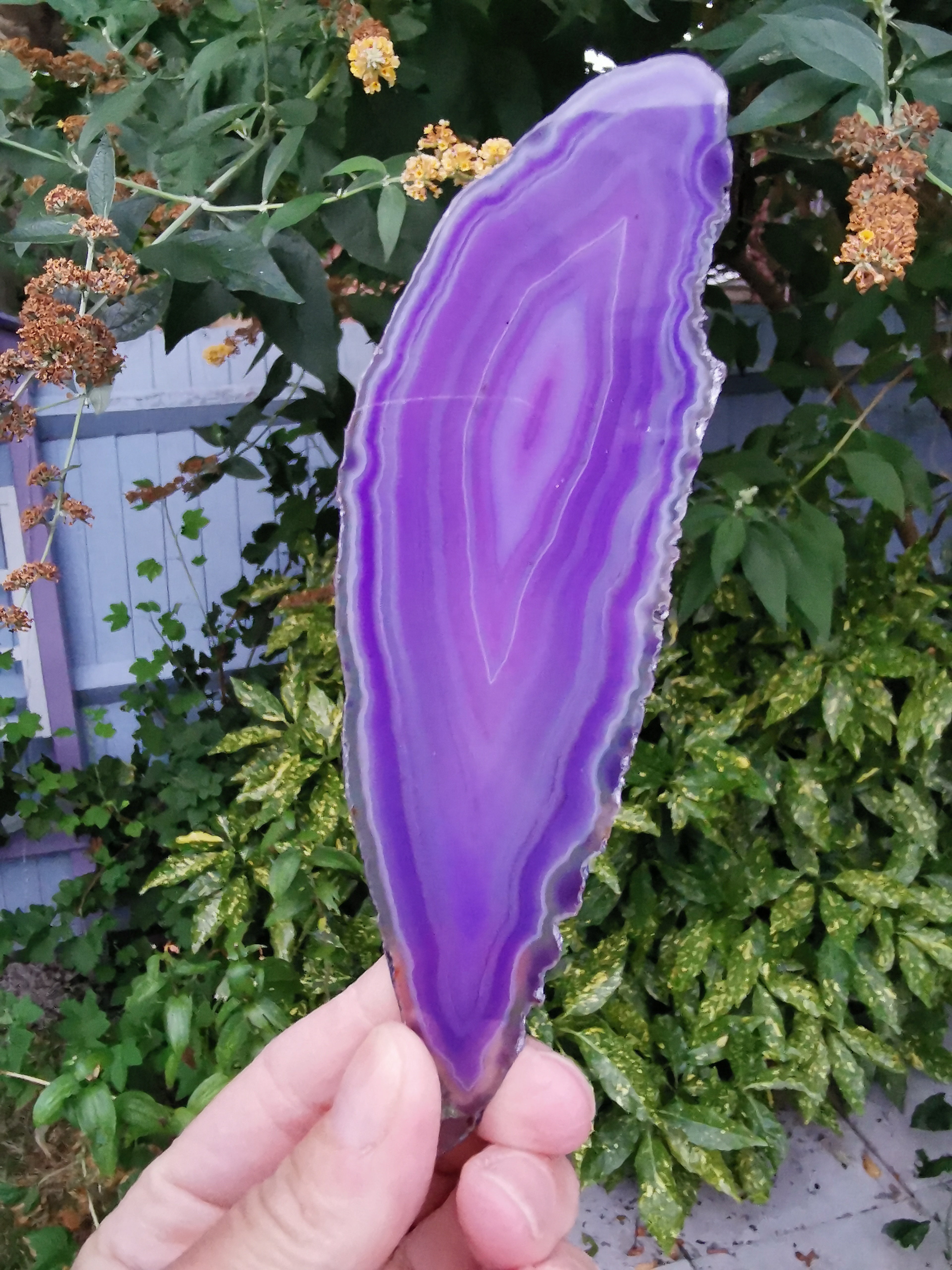 Purple Agate Slice (Colour enhanced)