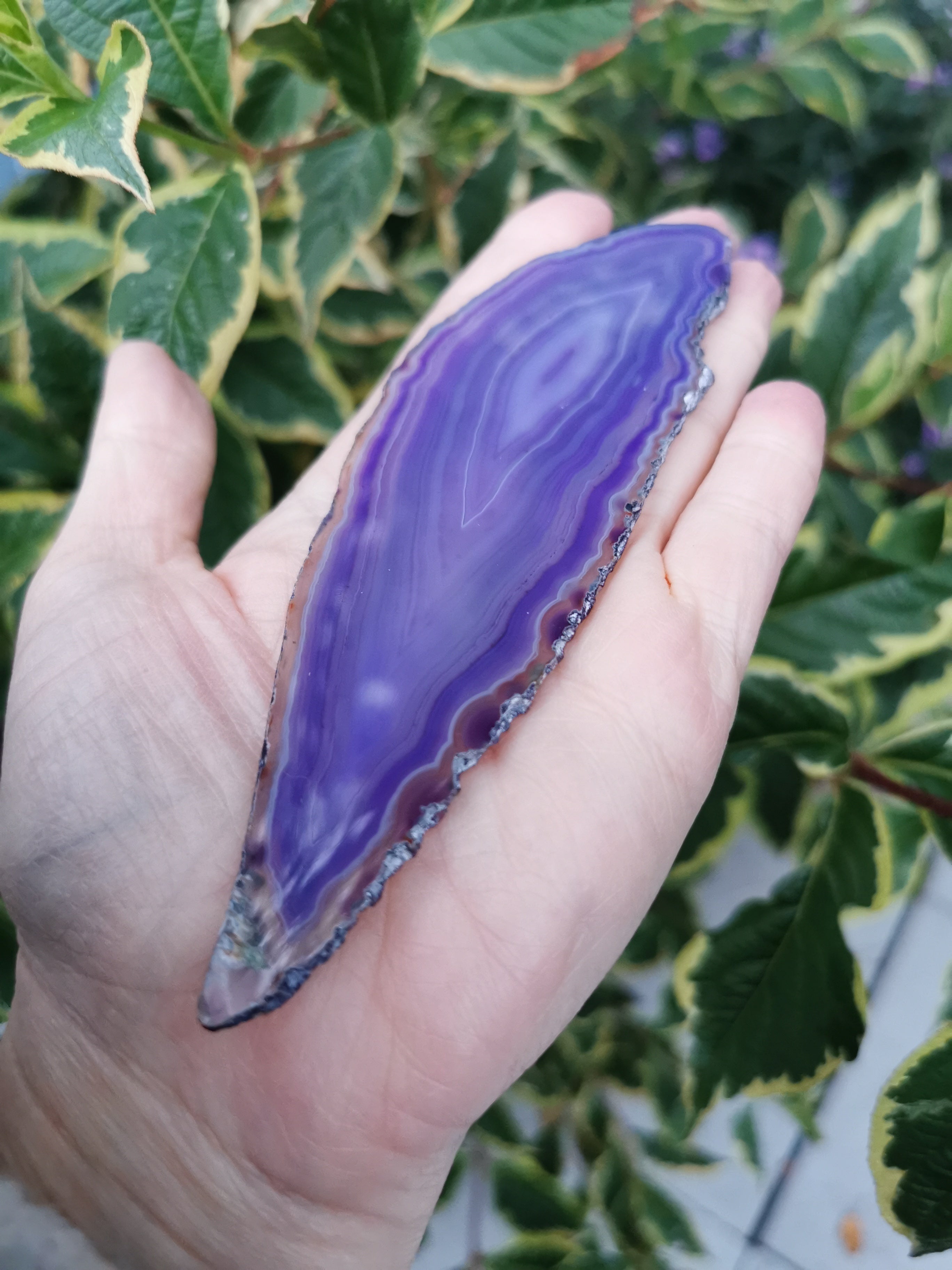Purple Agate Slice (Colour enhanced)
