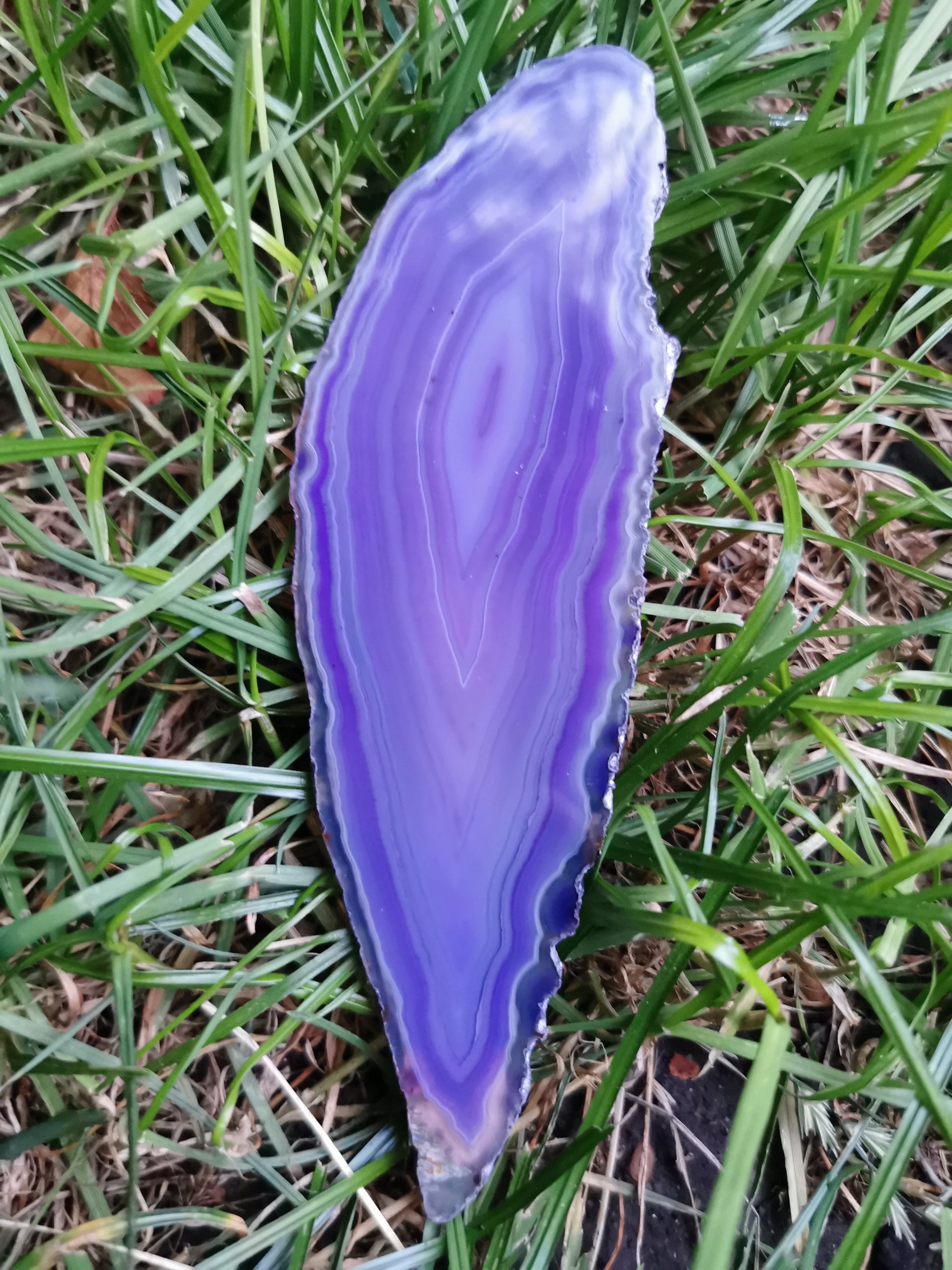 Purple Agate Slice (Colour enhanced)