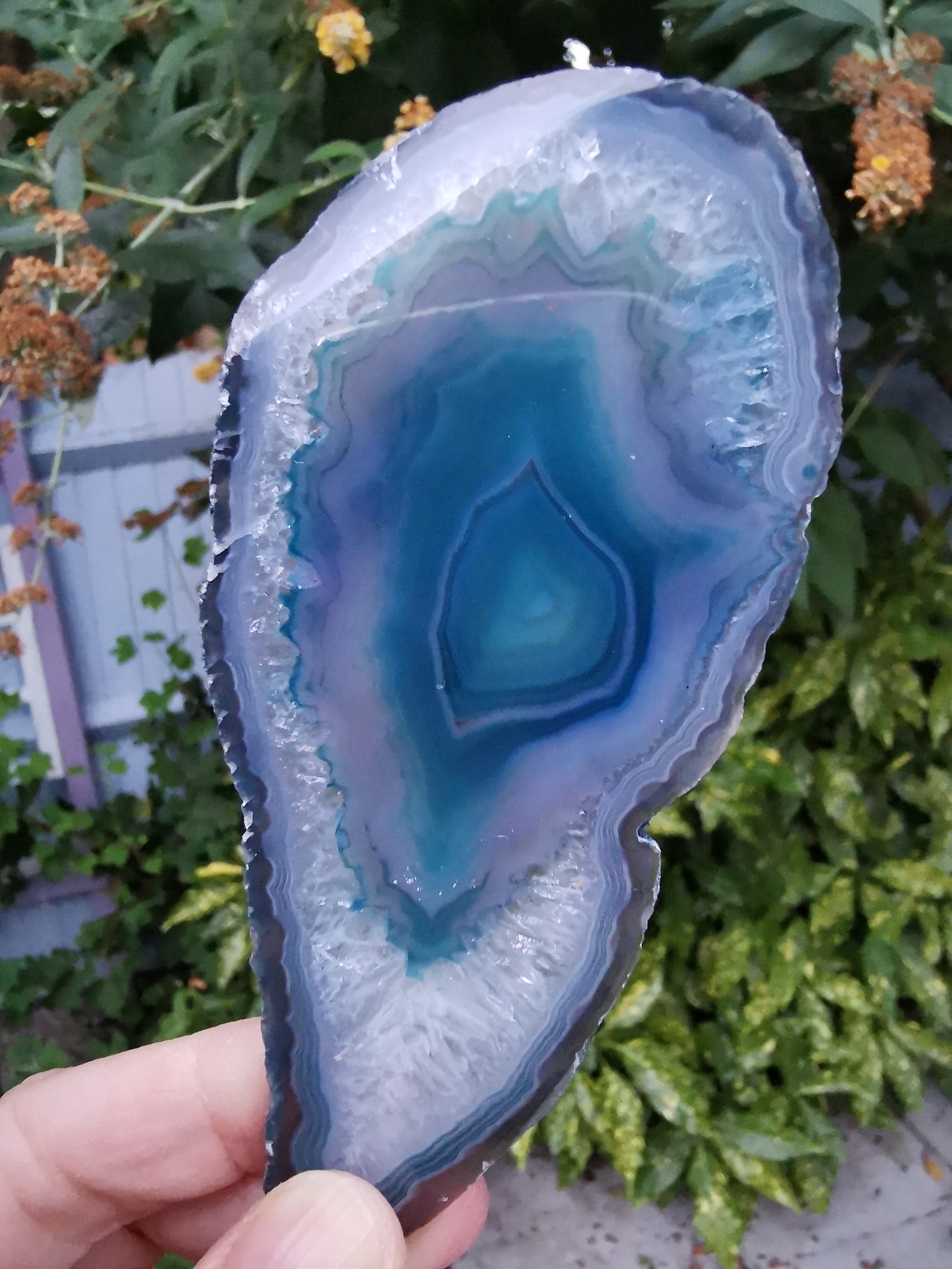 Blue Agate Slice (Colour enhanced)