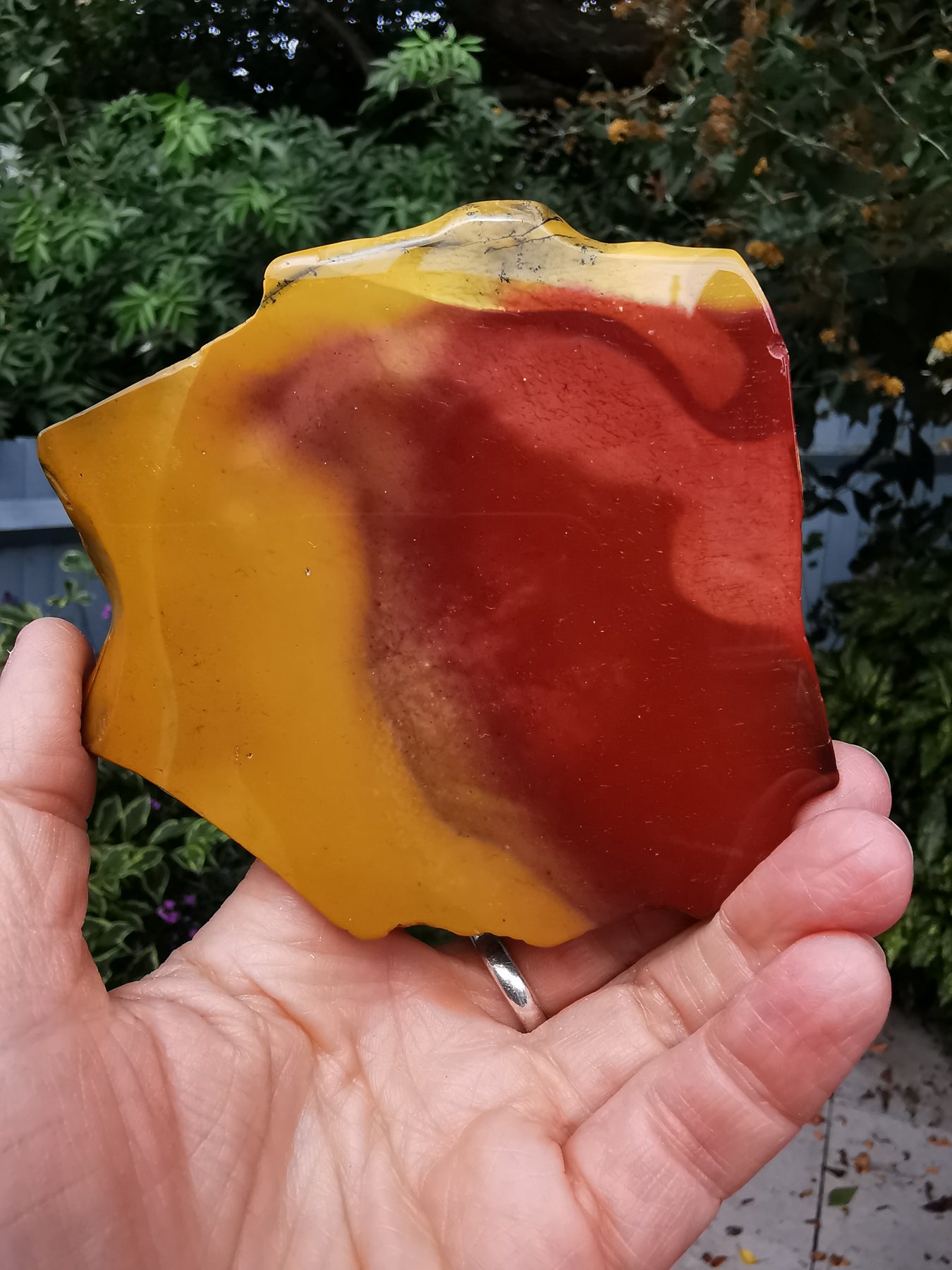 Mookaite